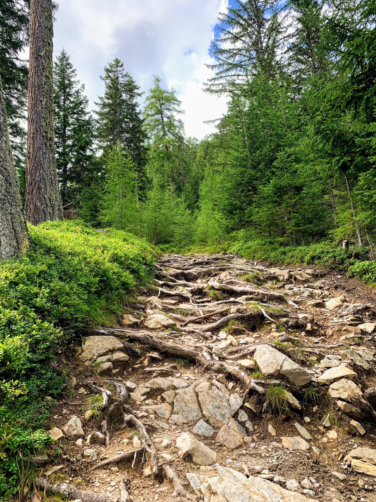 alpenueberquerung_mit_kindern_etappe_5_zams_wenns_