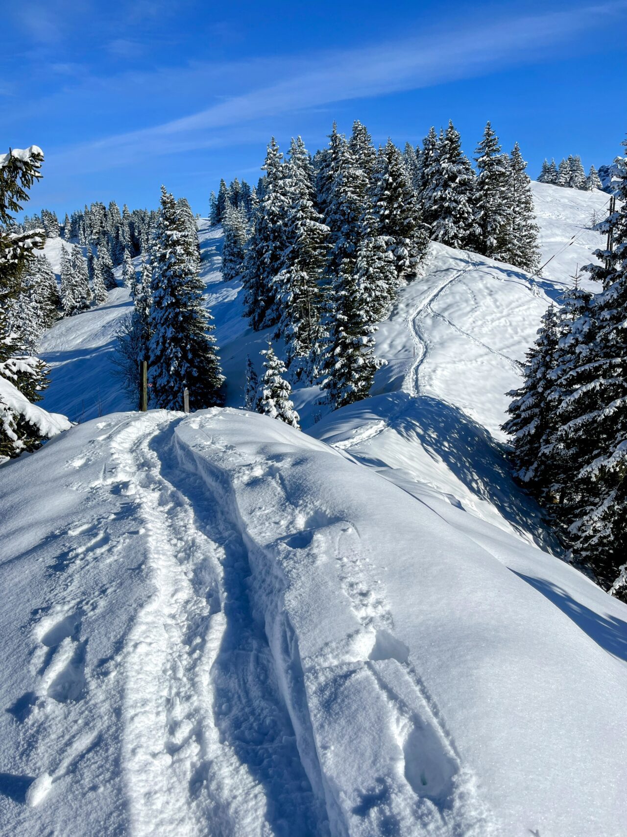 schneeschuhtour_laucherenstoeckli_ibergeregg_brunni__IMG_5786