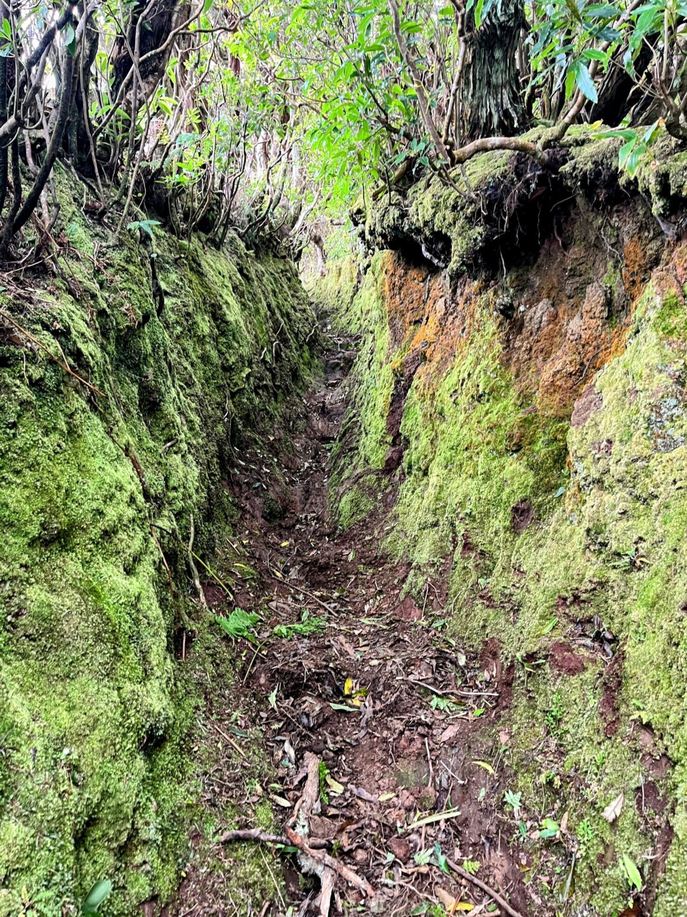wanderung_ilha_a_pe_tag_4_norte_baia_do_raposo_