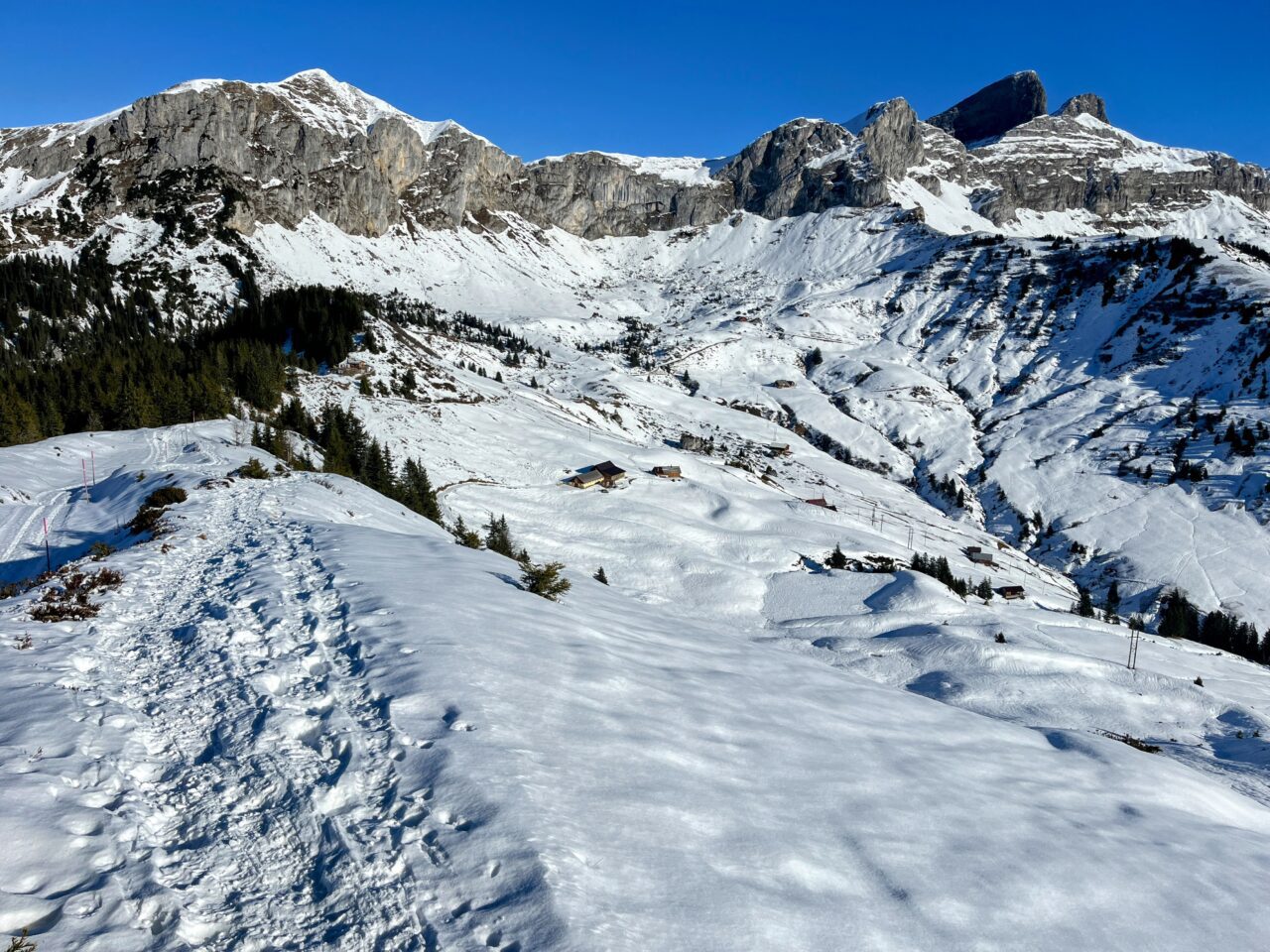 Schneeschuhe_winterwandern_eggberge_hueenderegg_ratzi__IMG_5660