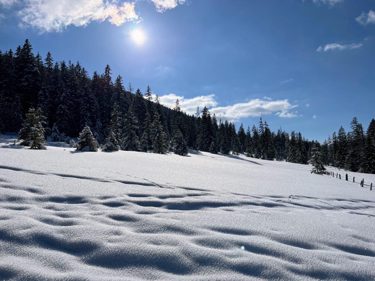 schneeschuhwandern-jaenzi-_IMG_9592