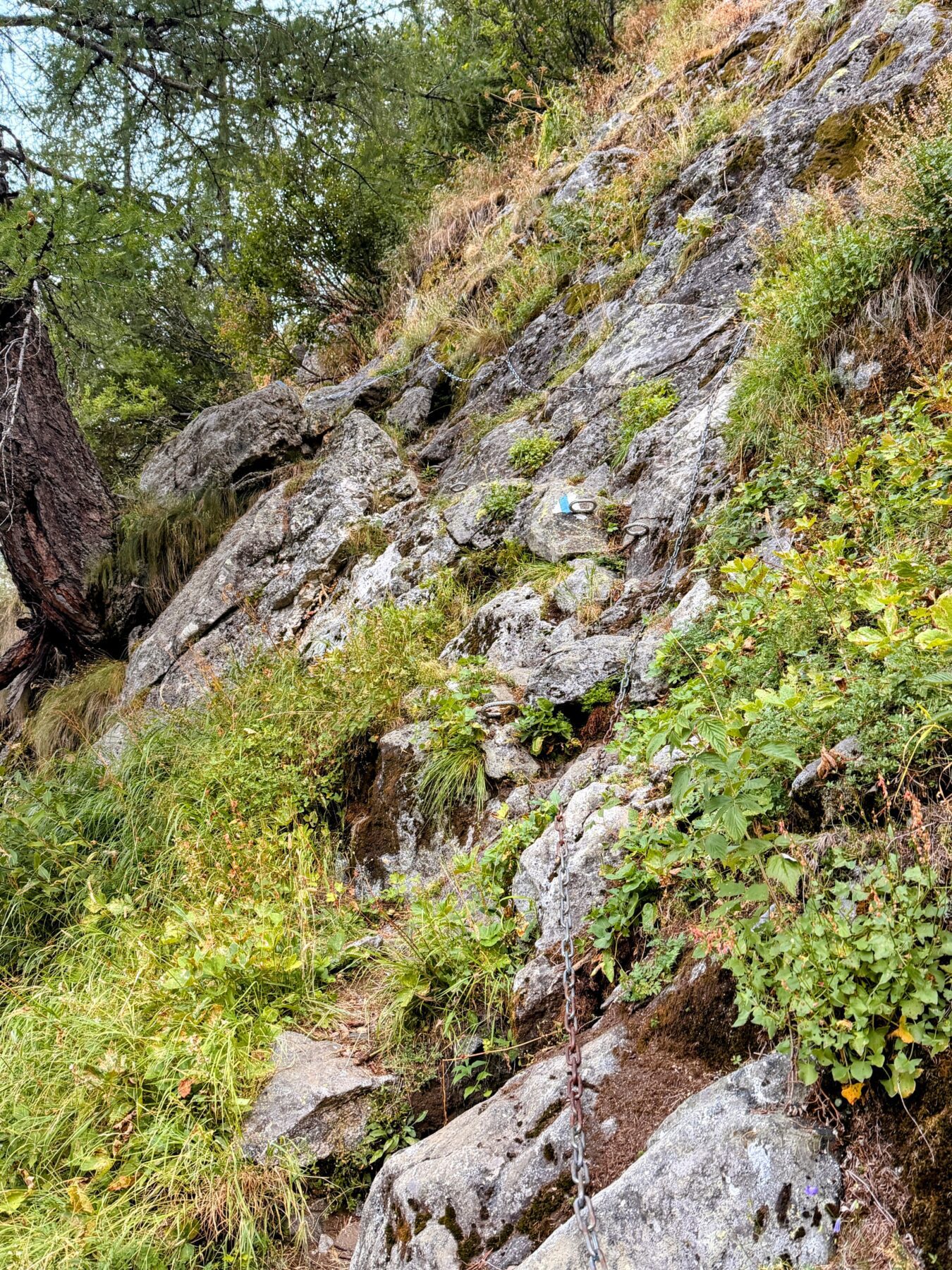 wanderung_sentiero_alpino_bregaglia_sasc_furae_huette_bondo__IMG_0552