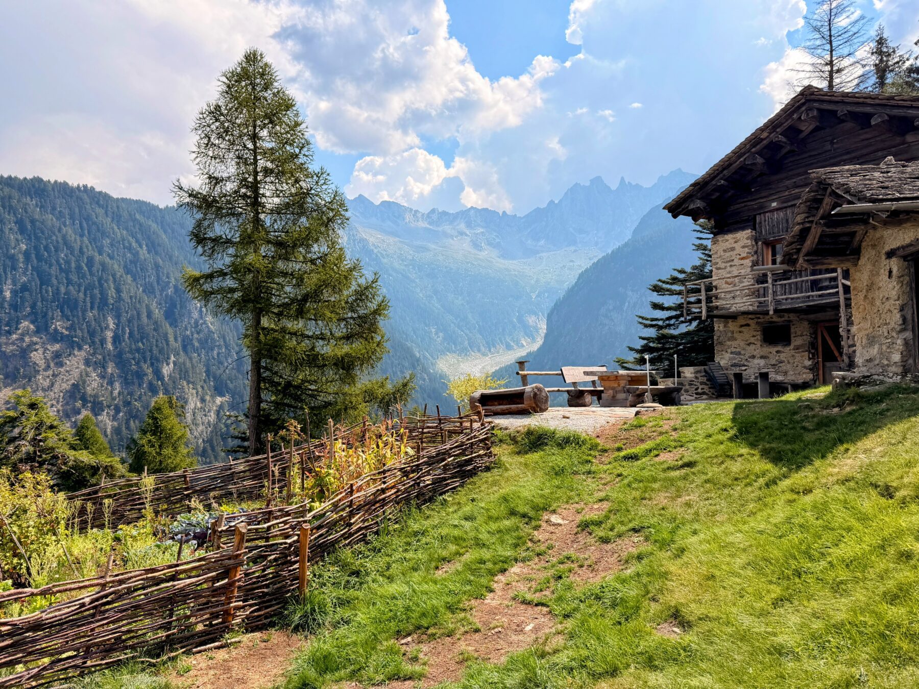 wanderung_sentiero_alpino_bregaglia_sasc_furae_huette_bondo__IMG_0592