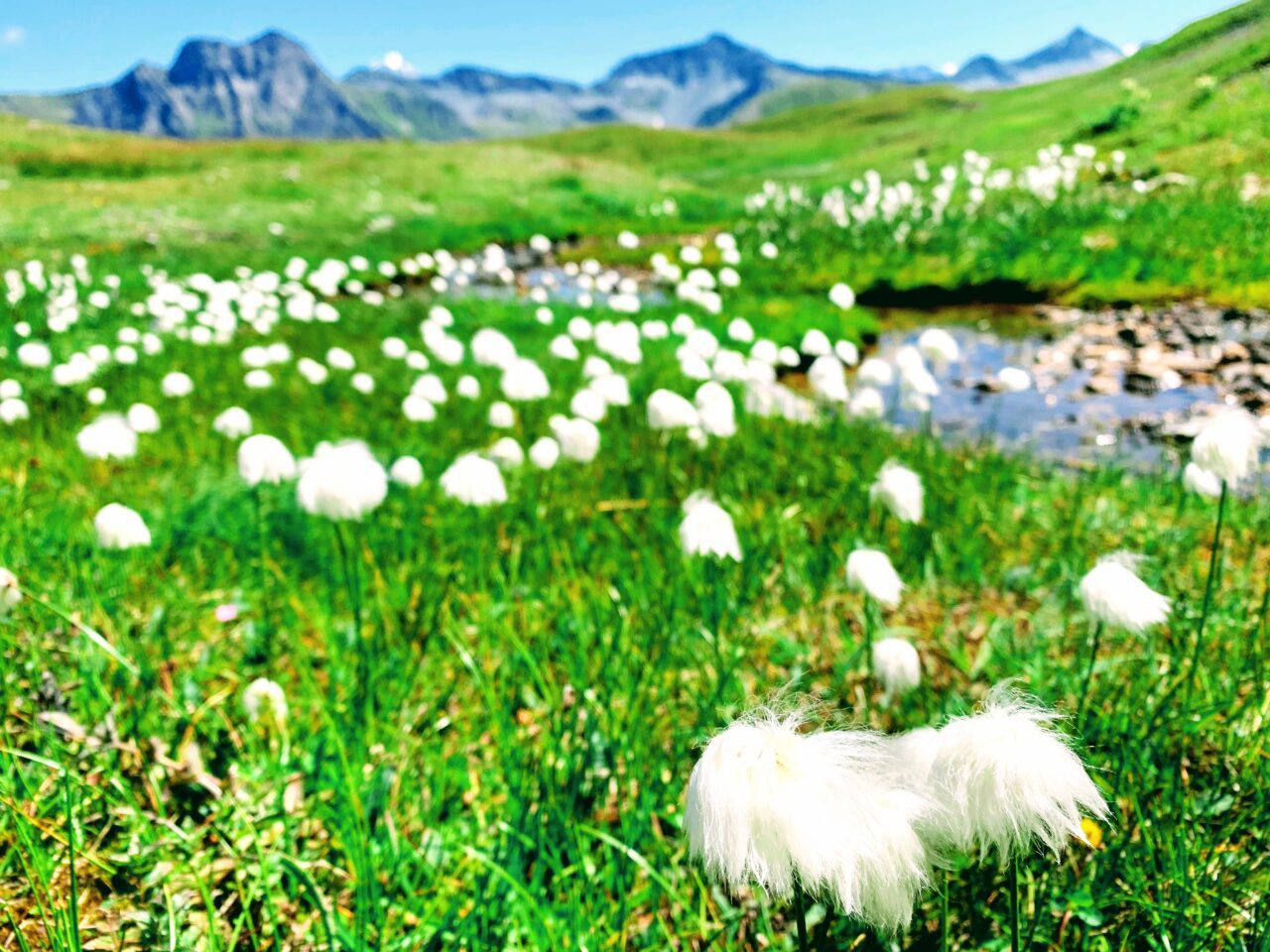 wanderung_tour_du_st_bernard_