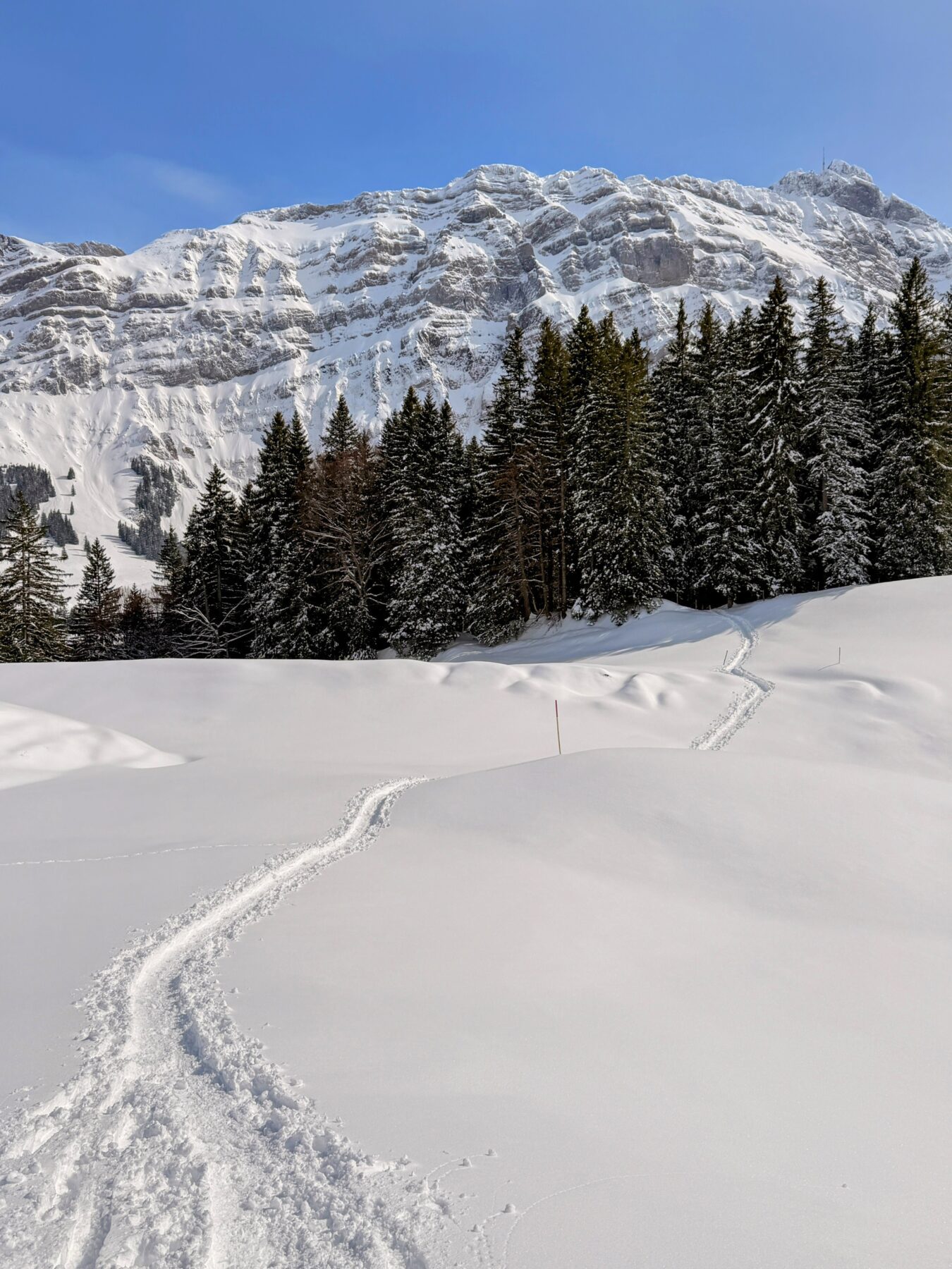 schneeschuhtour_lehmen_kronberg_chammhaldenhuette_schwaegalp__IMG_1398