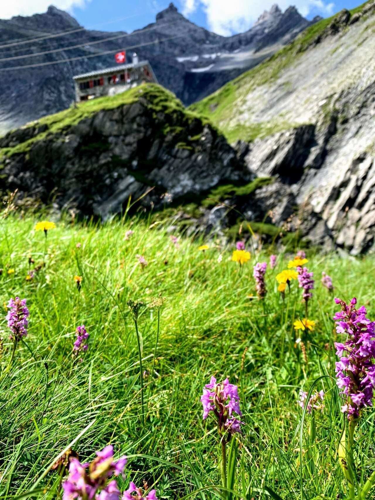 wanderung_martinsmadhuette_