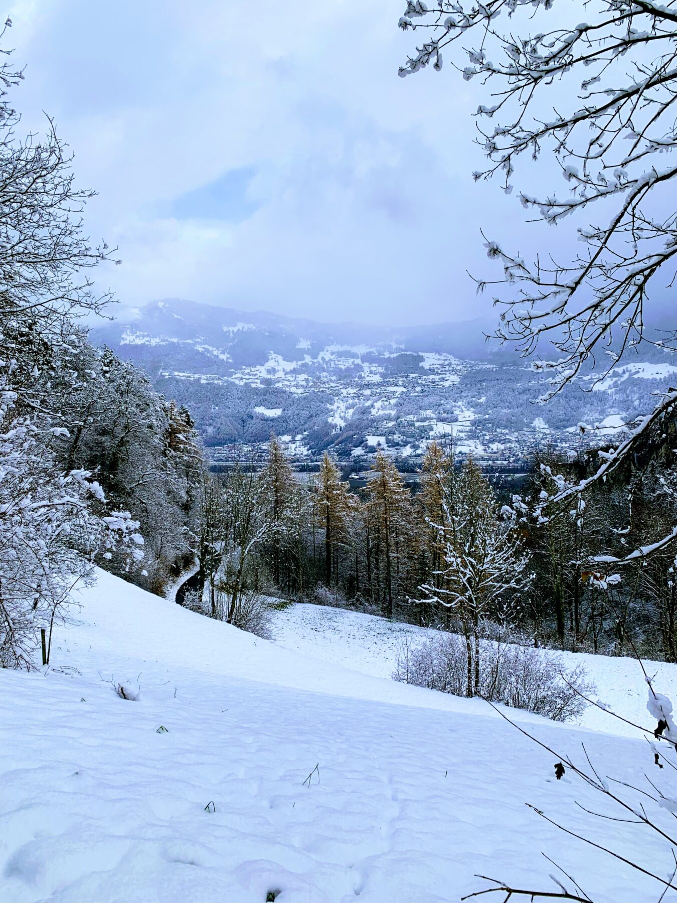 via_alpina_etappe_1_gaflei_sargans_