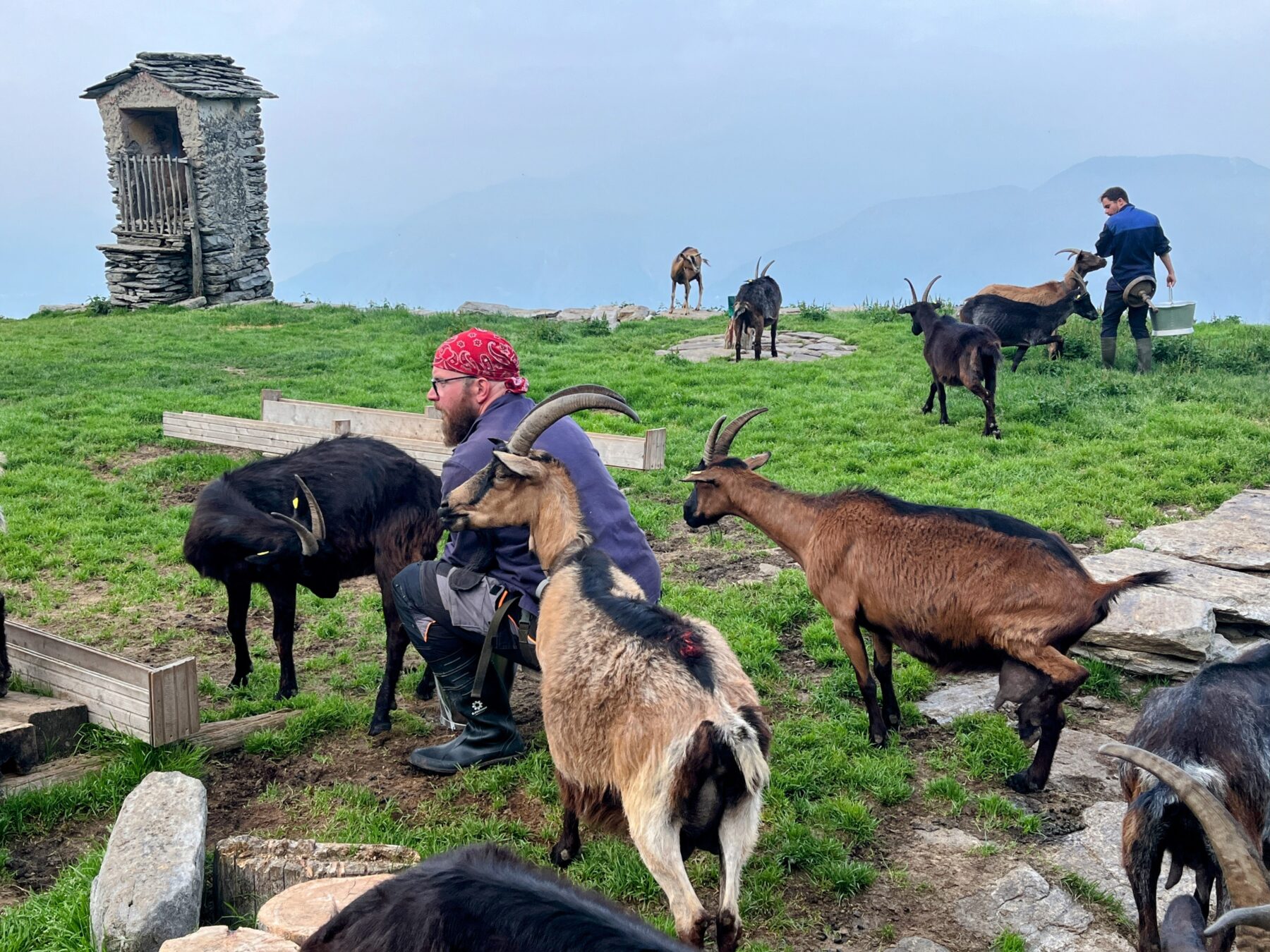 Wanderung_Alta_Via_Vallemaggia_Cimetta_Nimi_Brione_