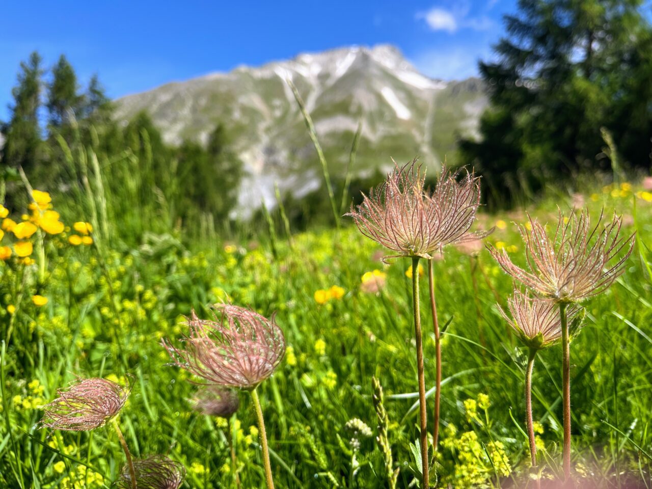 wanderung_wiwannihuette_