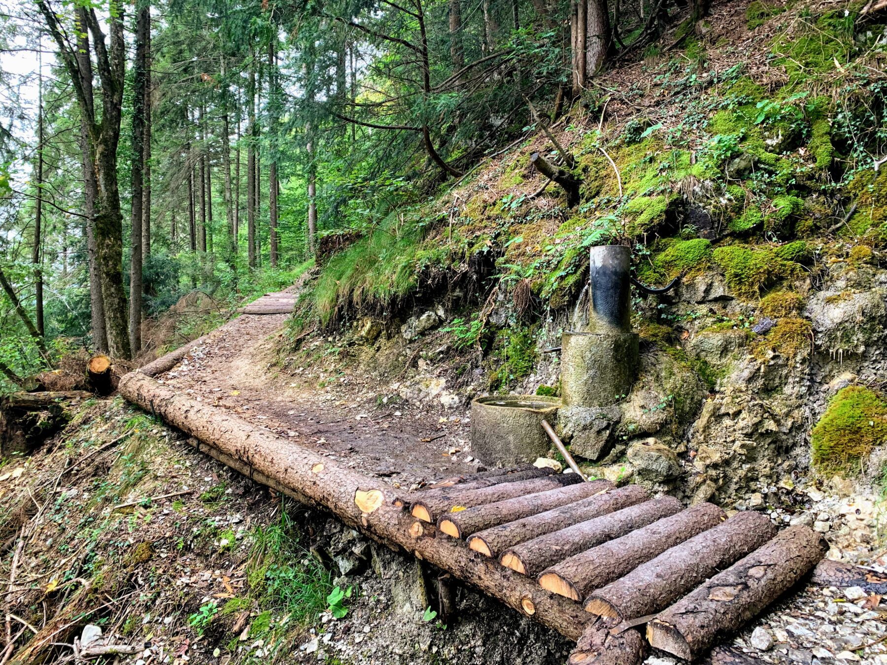 wanderung_vierwaldstaettersee_alpnachstad_ennetbuergen_