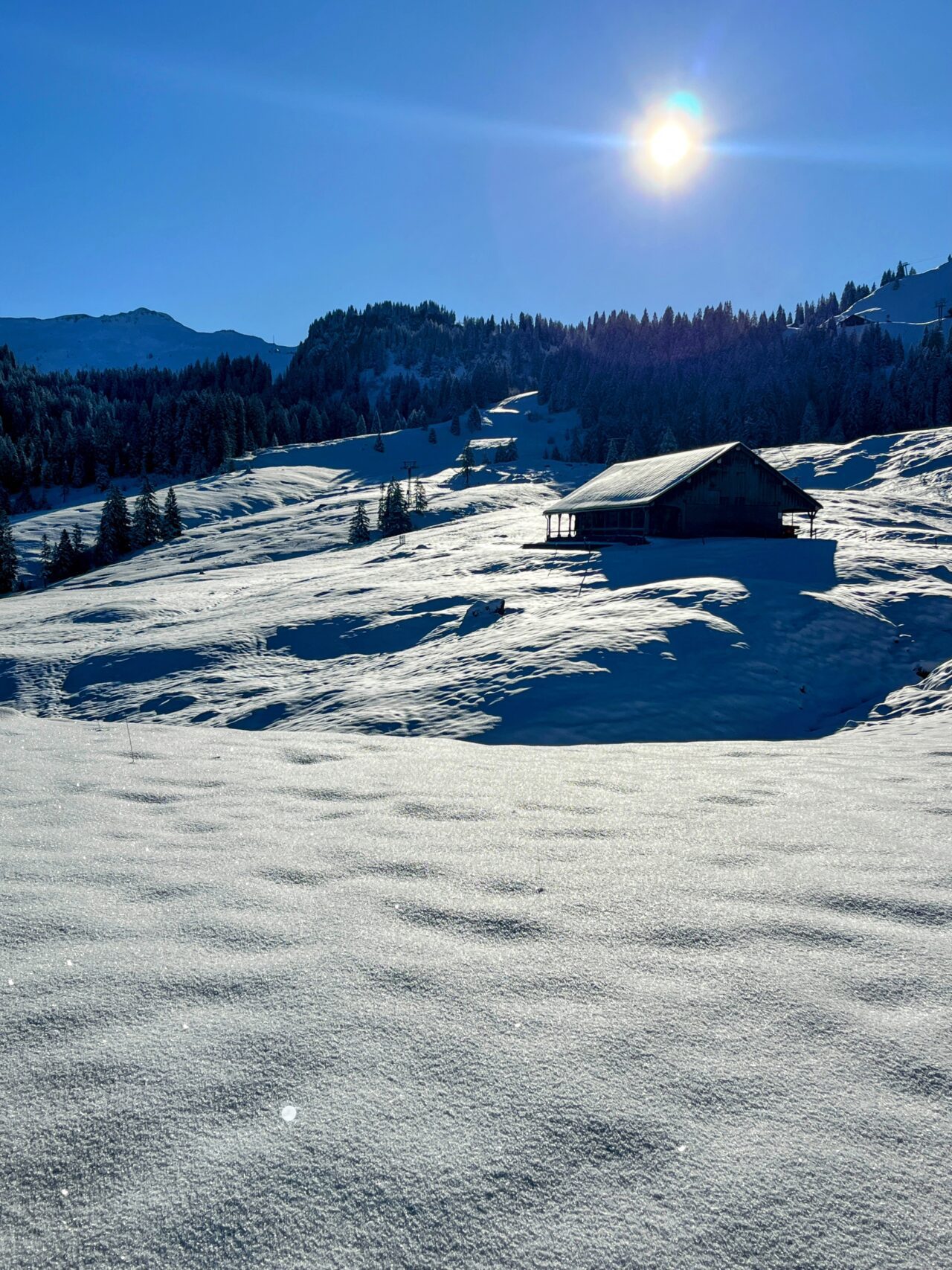 schneeschuhtour_laucherenstoeckli_ibergeregg_brunni__IMG_5748