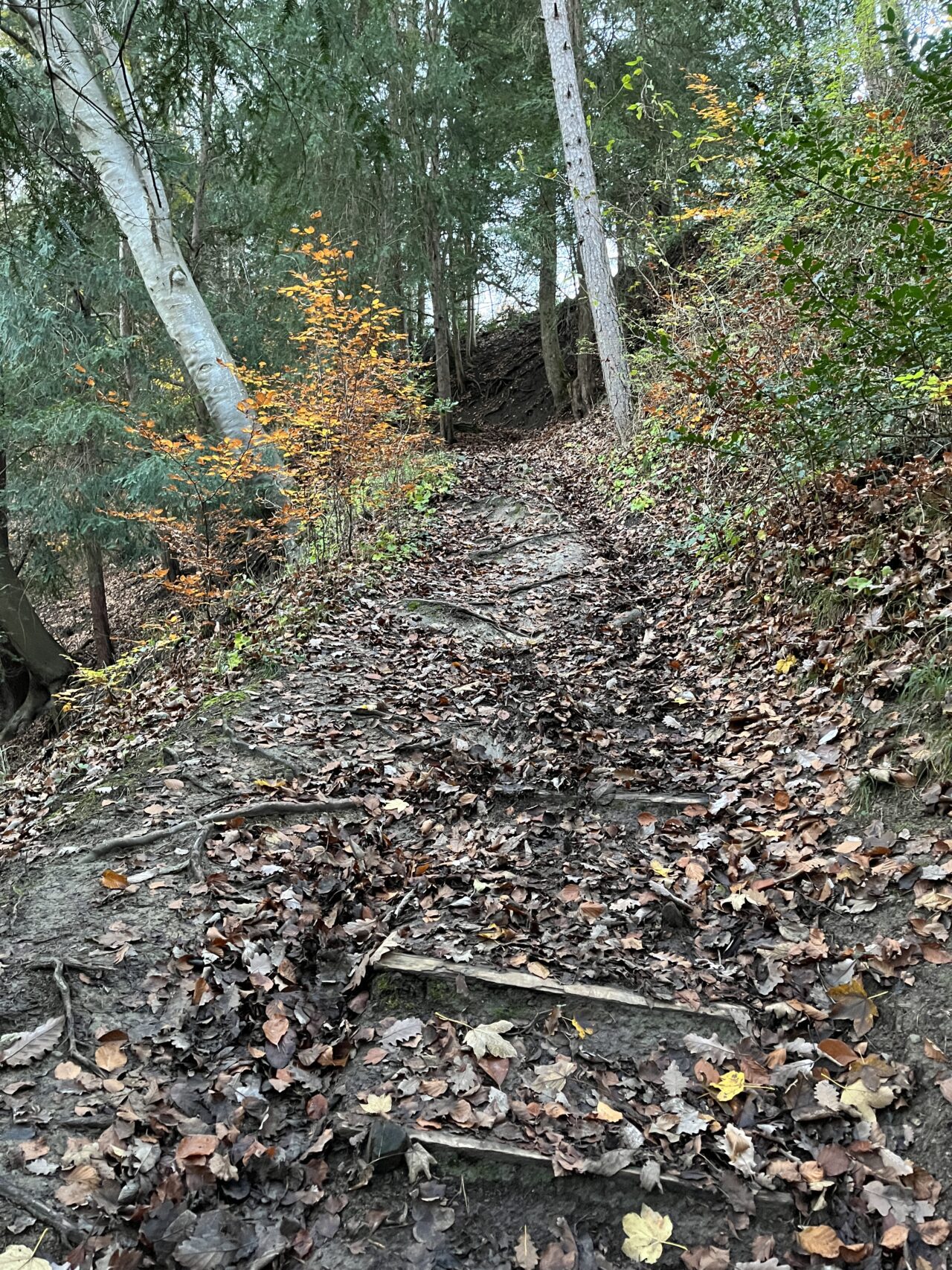 wanderung_teehuette_fallaetsche_