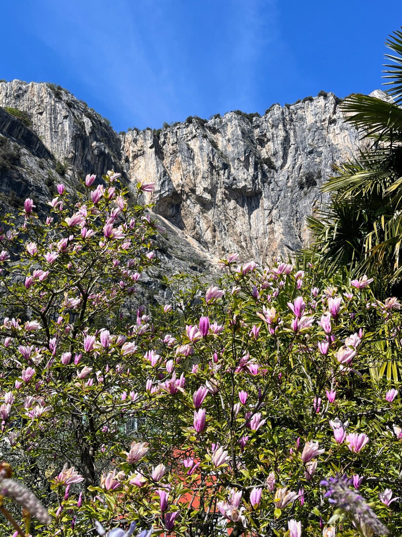 Klettersteig_colodri_arco_mit_kindern_