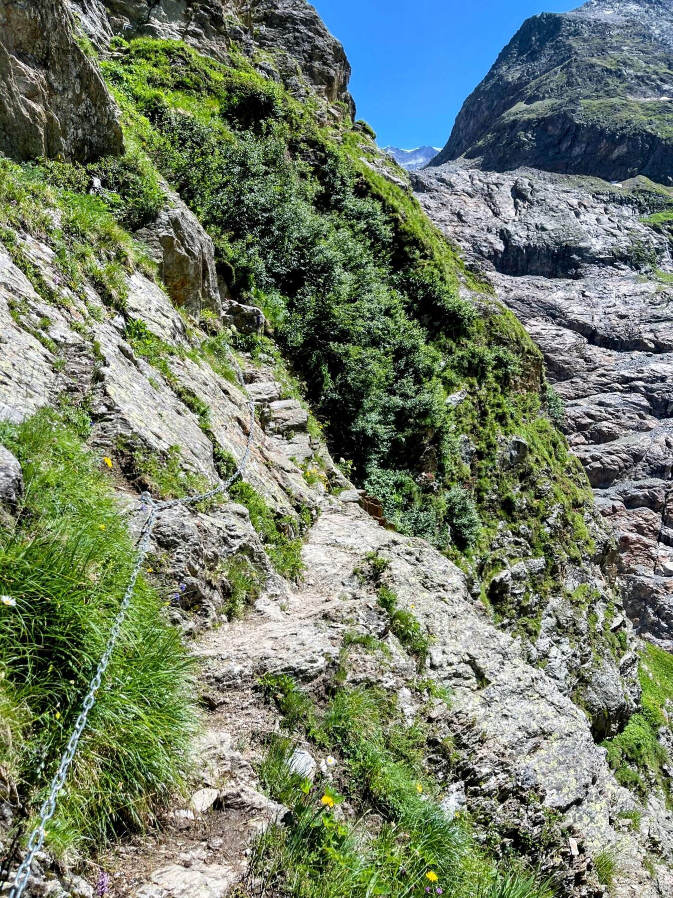 Wanderung_grindelwald_schreckhornhütte_