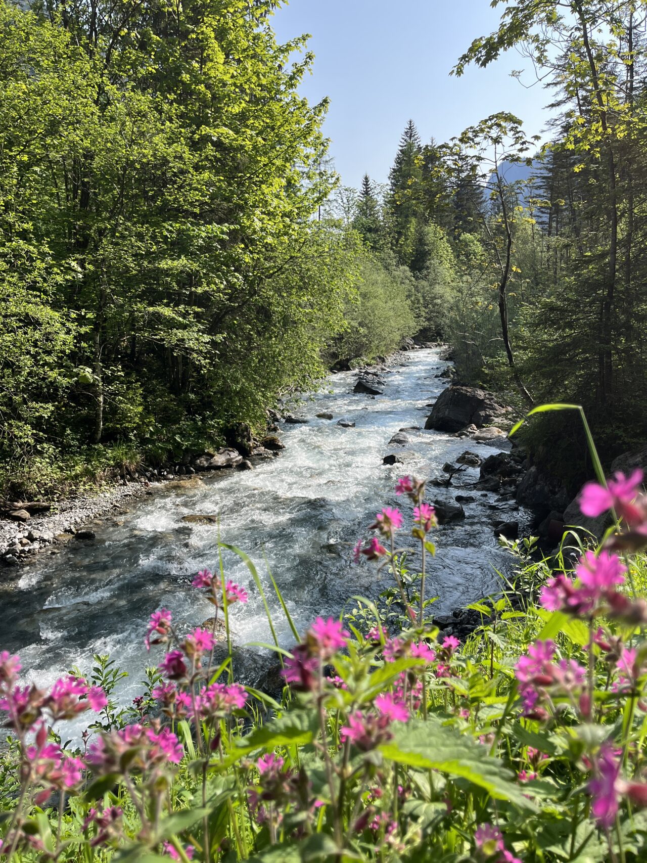 wanderung_sarotlahütte_