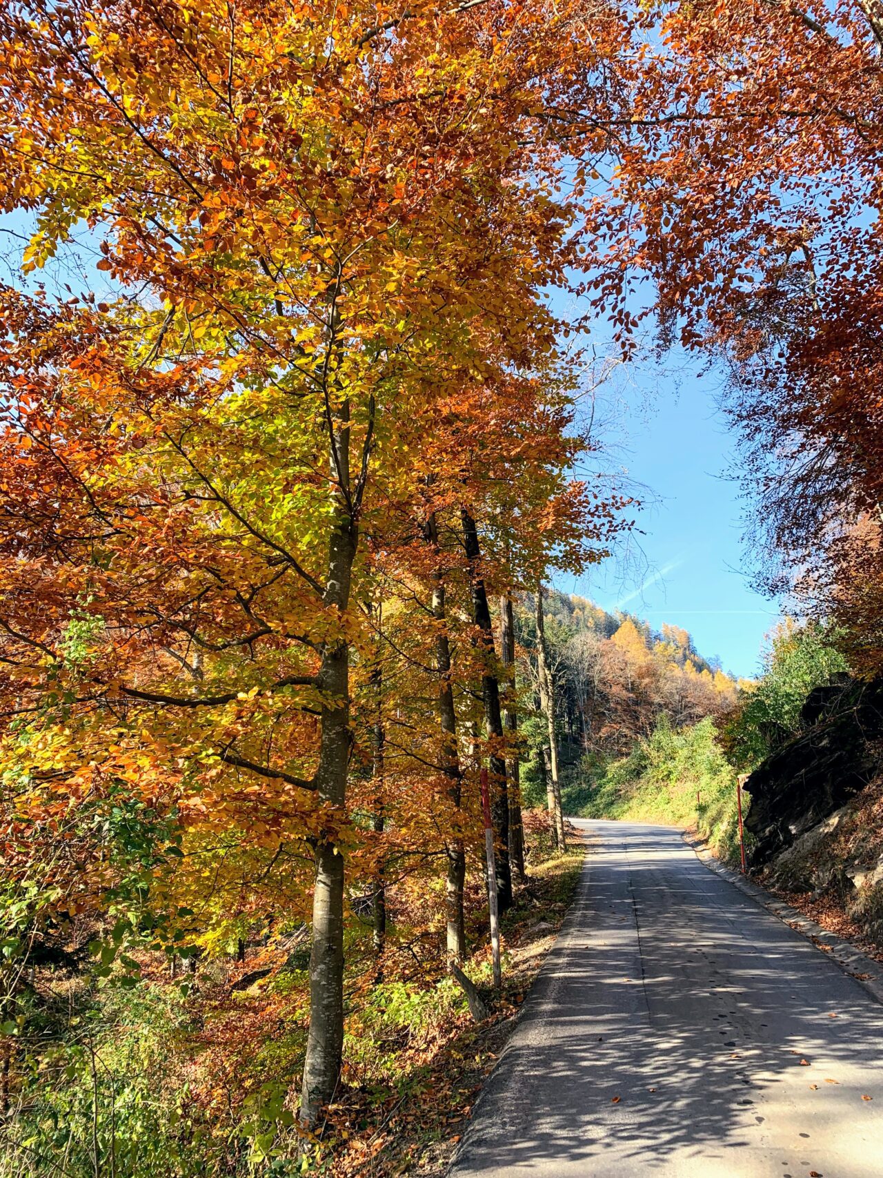 via_alpina_etappe_2_sargans_weisstannen_