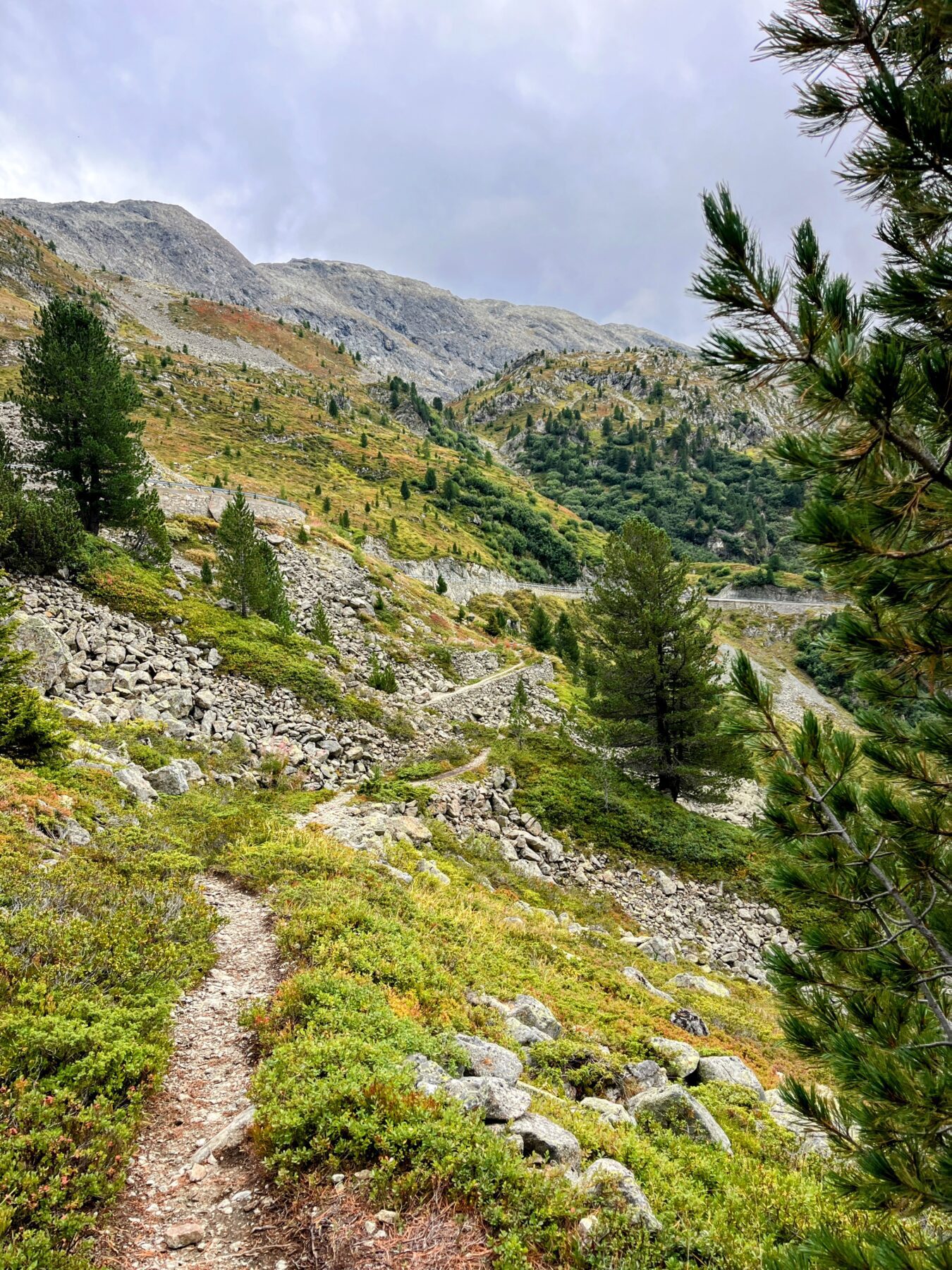 wanderung_bernina_trek_tag_2_eschahuette_jenatschuette_