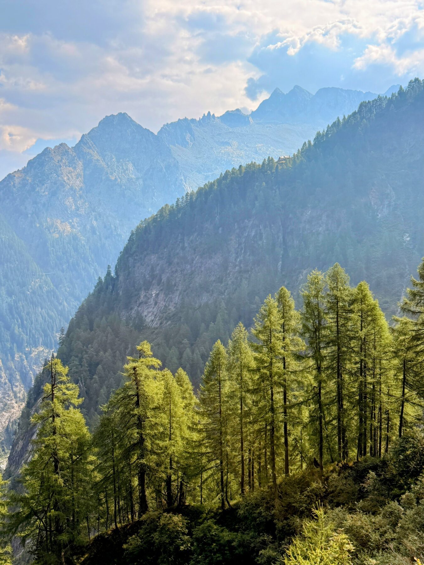 wanderung_sentiero_alpino_bregaglia_sasc_furae_huette_bondo__IMG_0572