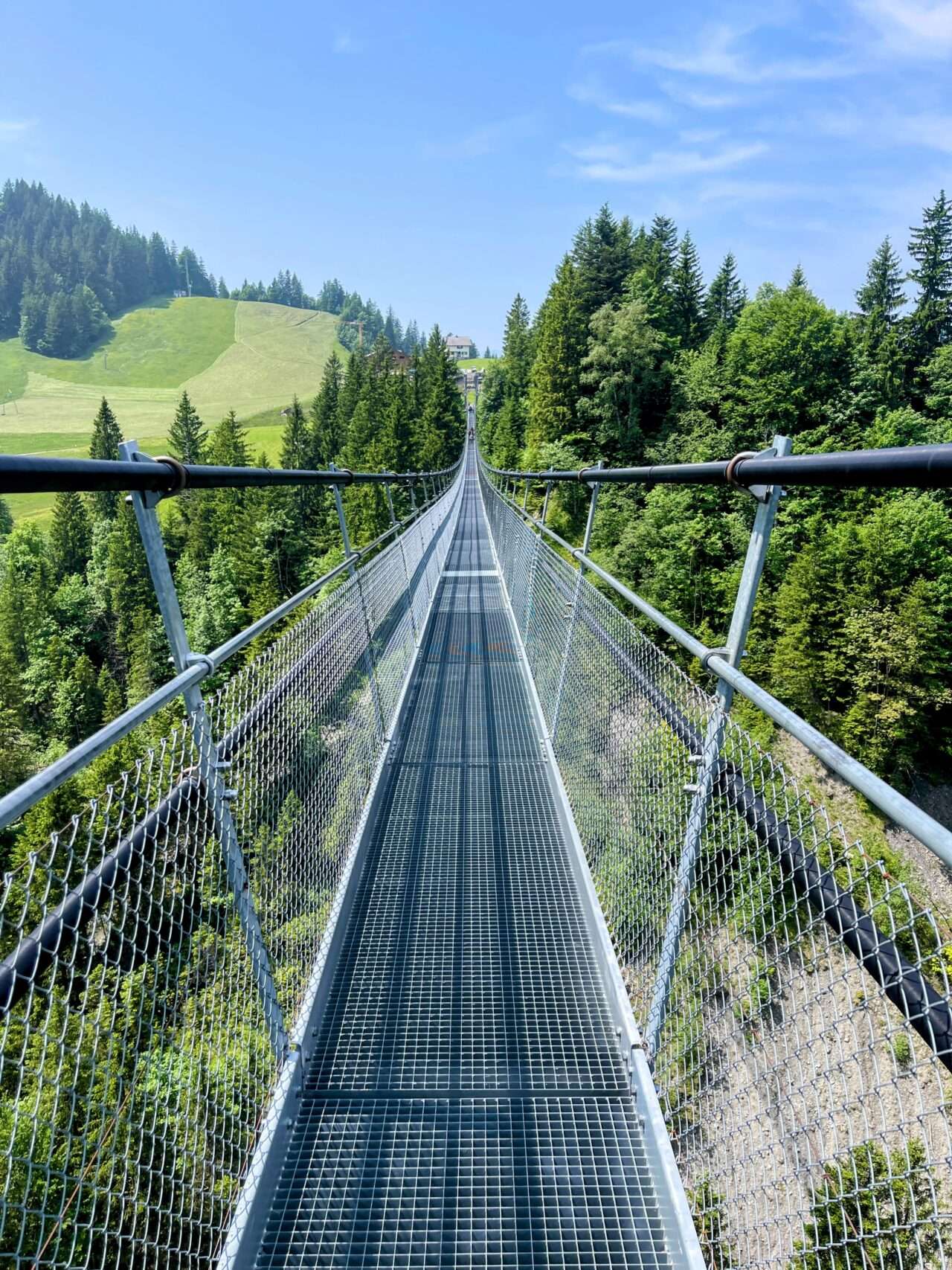 wanderung_brunni_hagenegg_mostelberg_sattel_