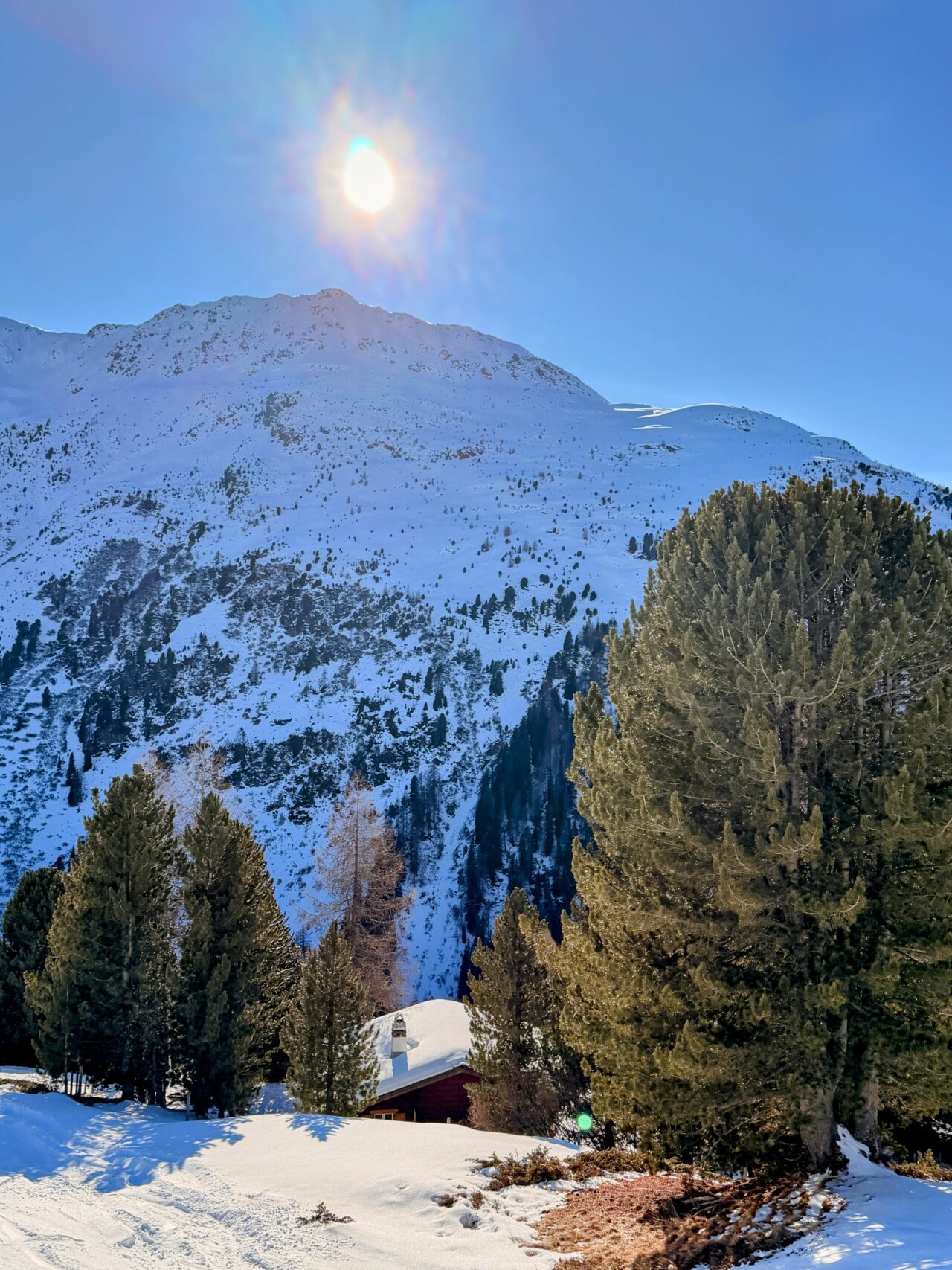 schneeschuhtour_pischa__IMG_9502