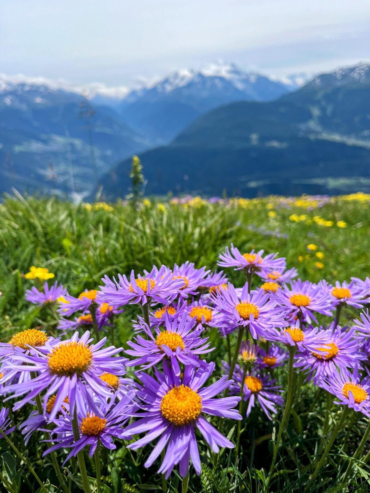 wanderung_wiwannihuette_