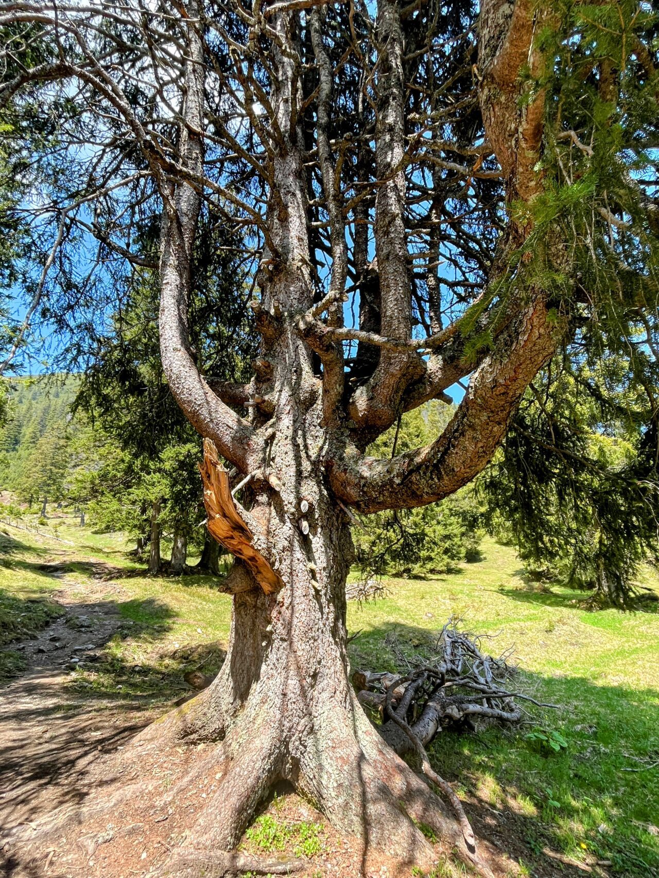 wanderung_mondstein_