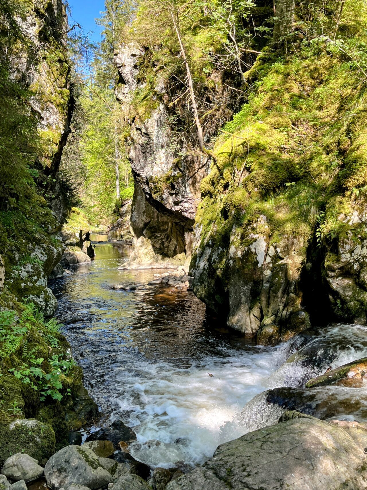 wanderung_schluchtensteig_schwarzwald_