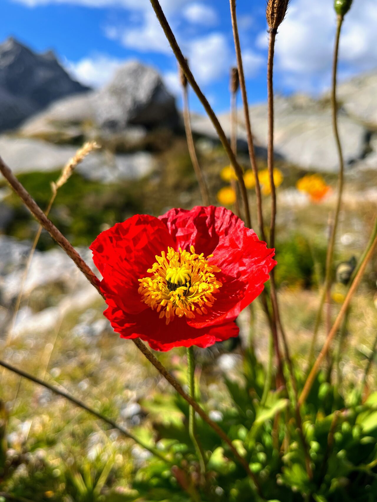 wanderung_sentiero_bernina_sud_