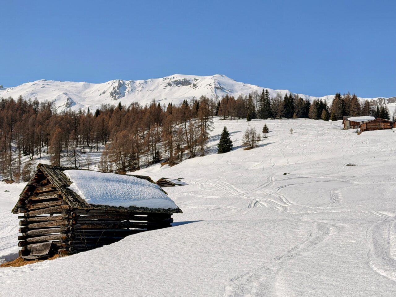 schneeschuhsafari_graubuenden_salouf_munter__IMG_0658