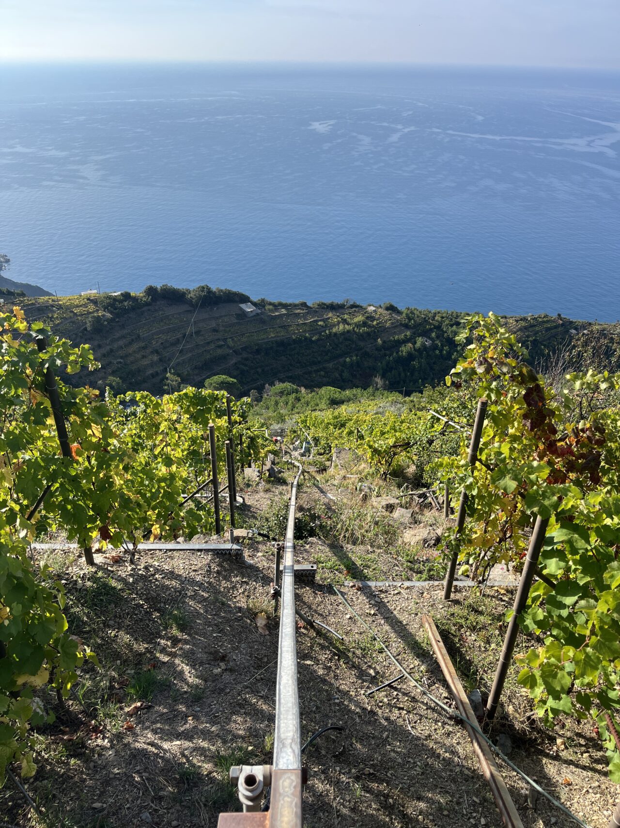 wandern_cinque_terre_