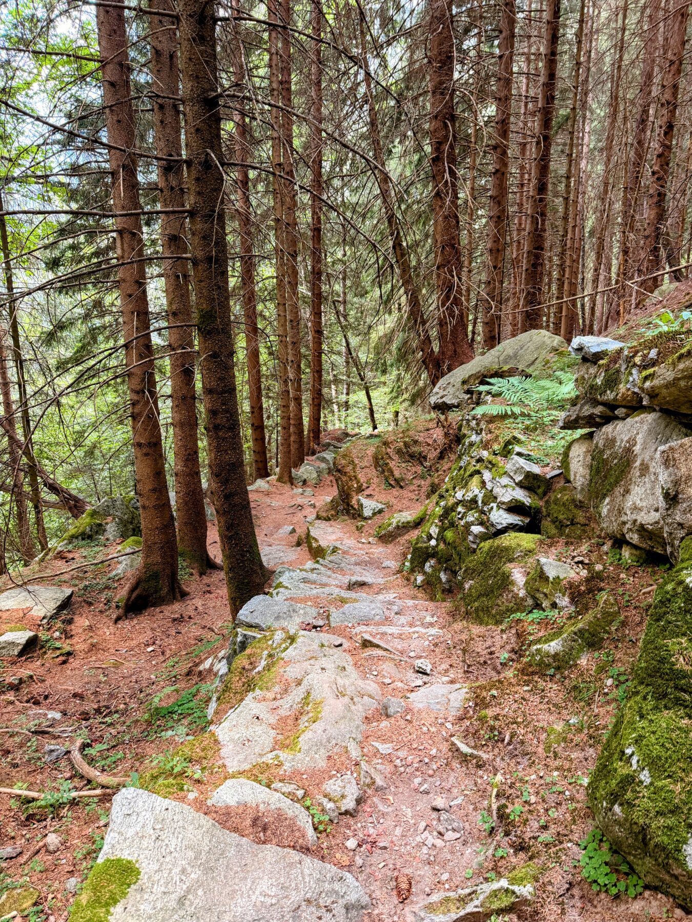 wanderung_sentiero_alpino_bregaglia_sasc_furae_huette_bondo__IMG_0594