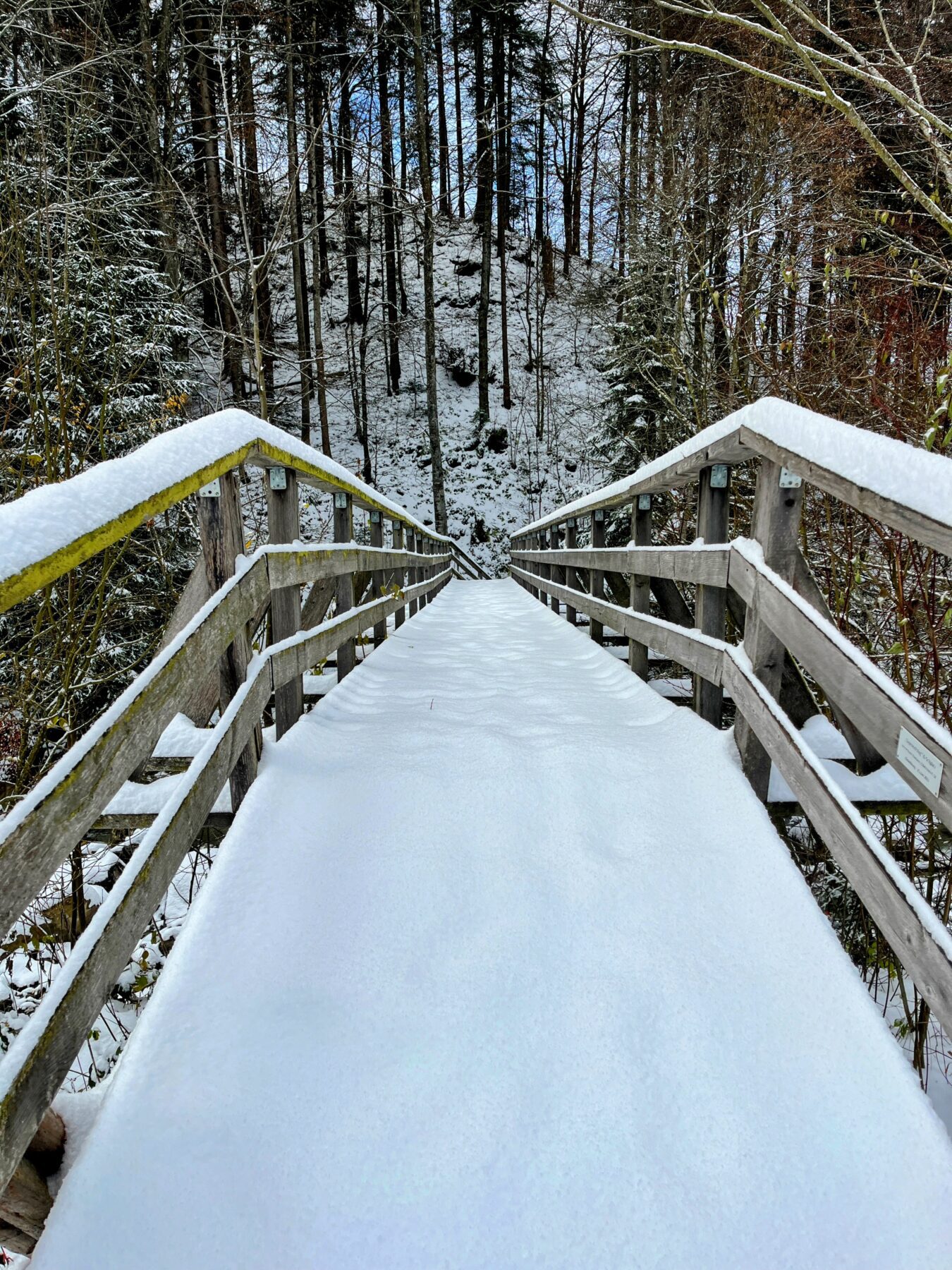 schneeschuhtour_biberegg_hochstuckli_haengebruecke__IMG_2107