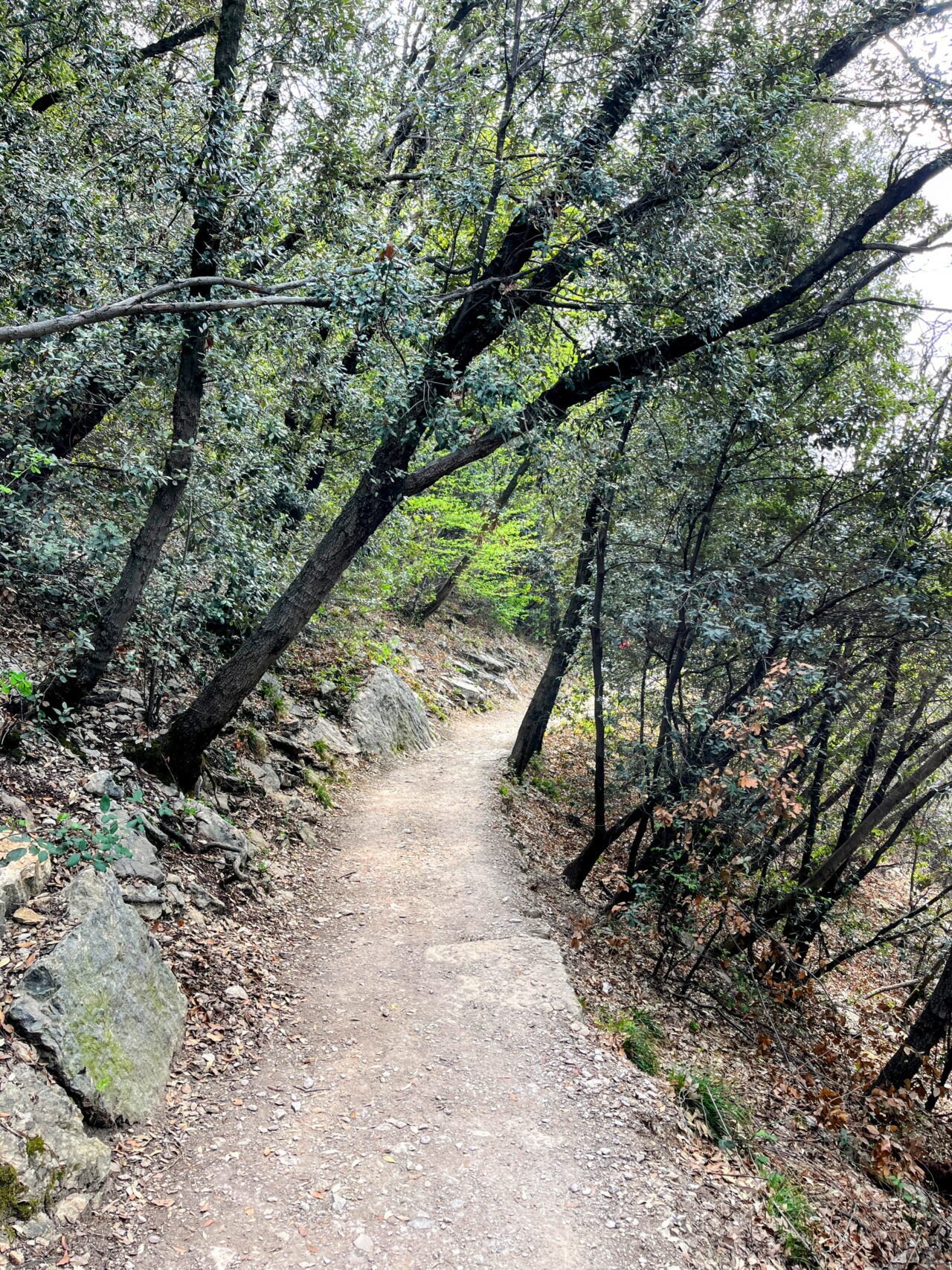 wanderung_busatte_gardasee_