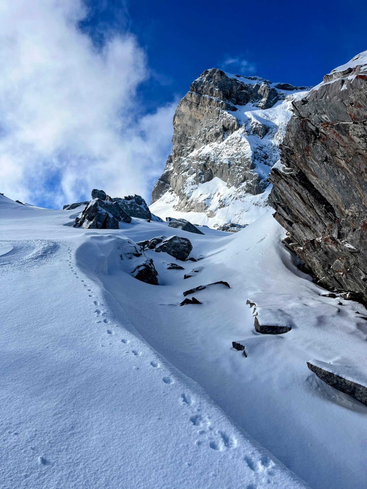 schneeschuhwandern_alp_sellamatt_fruemseltal__IMG_6713(1)