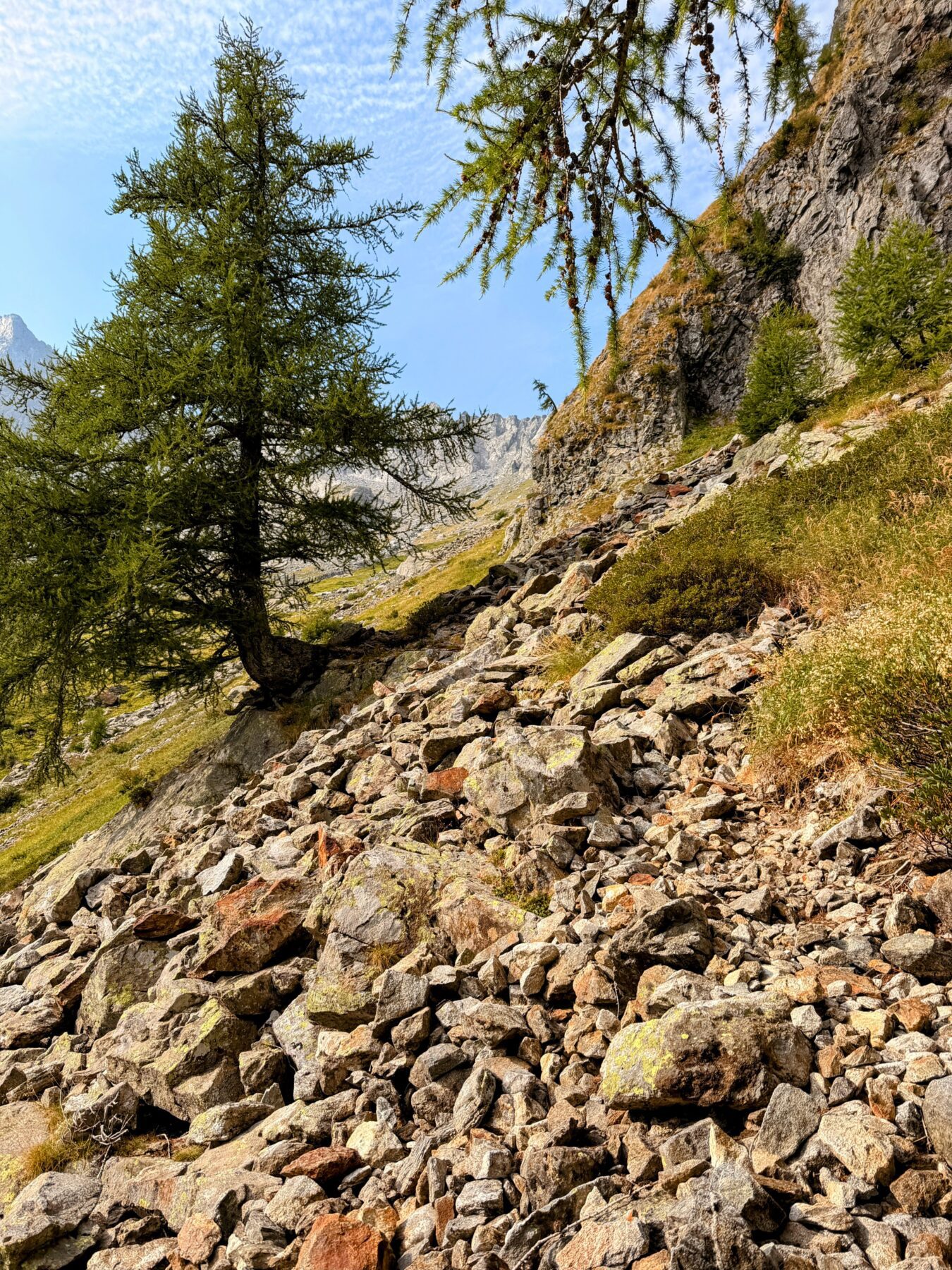 wanderung_sentiero_alpino_bregaglia_sasc_furae_huette_bondo__IMG_0568