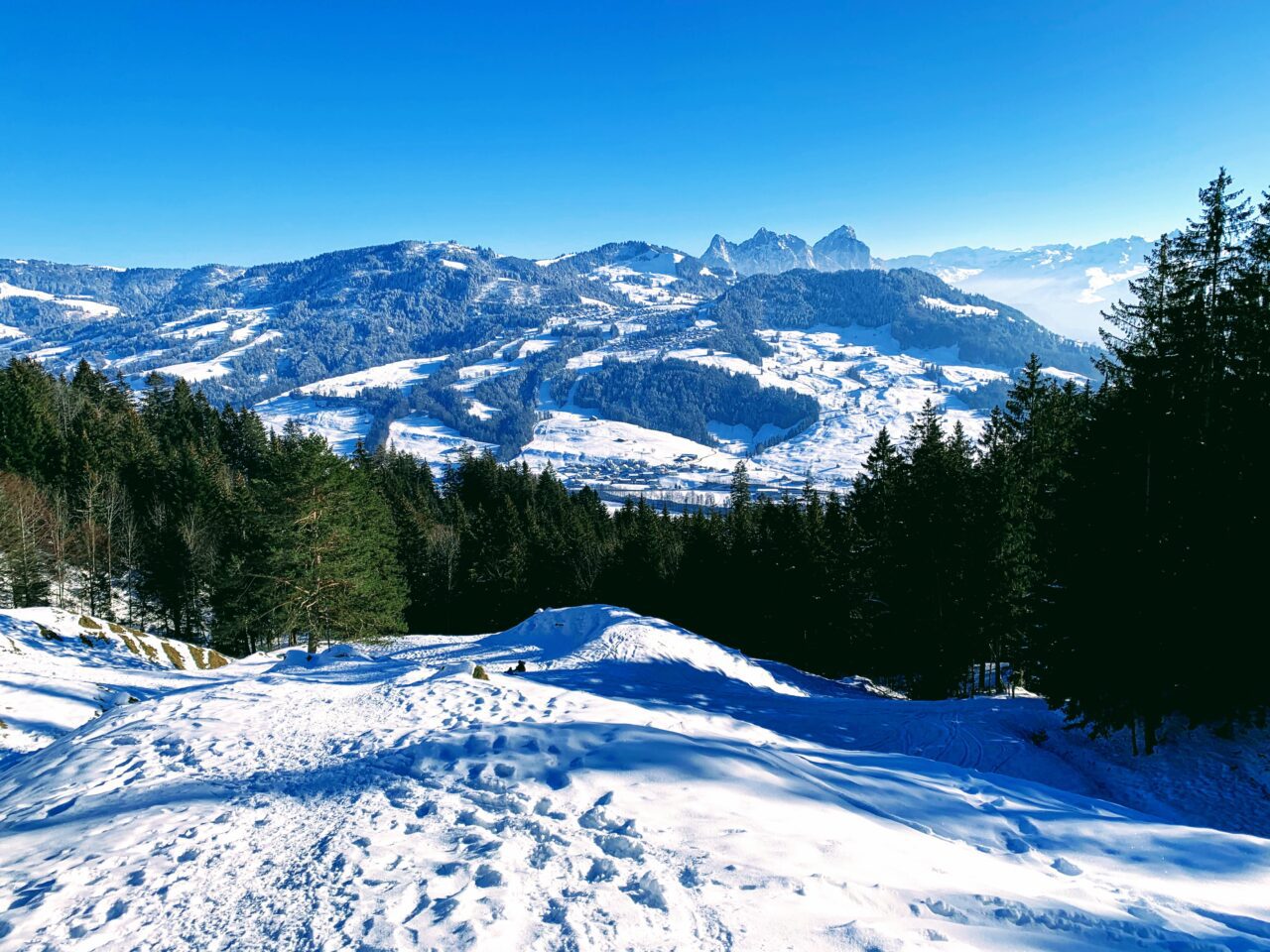 schneeschuhtour_halsegg_