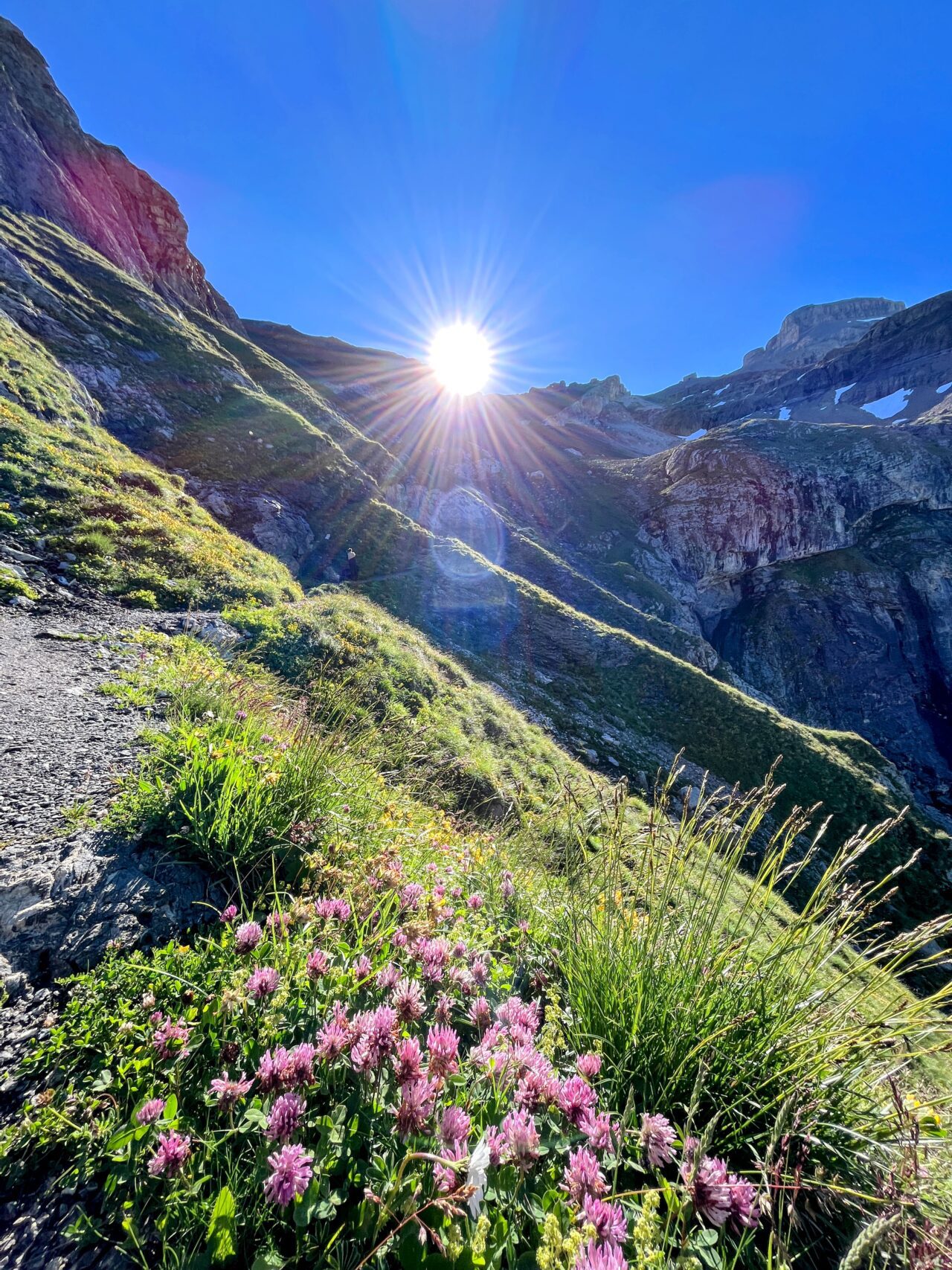 wanderung_via_alpina_blüemlisalphütte_kandersteg_