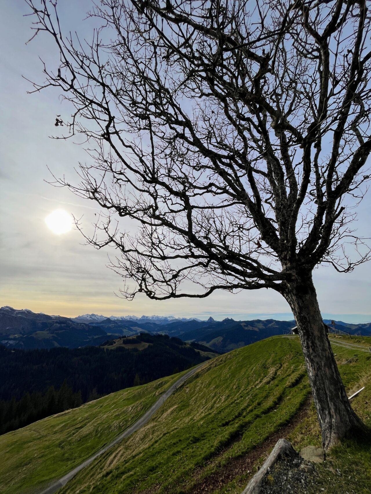 wanderung_waegitalersee_gross_aubrig_