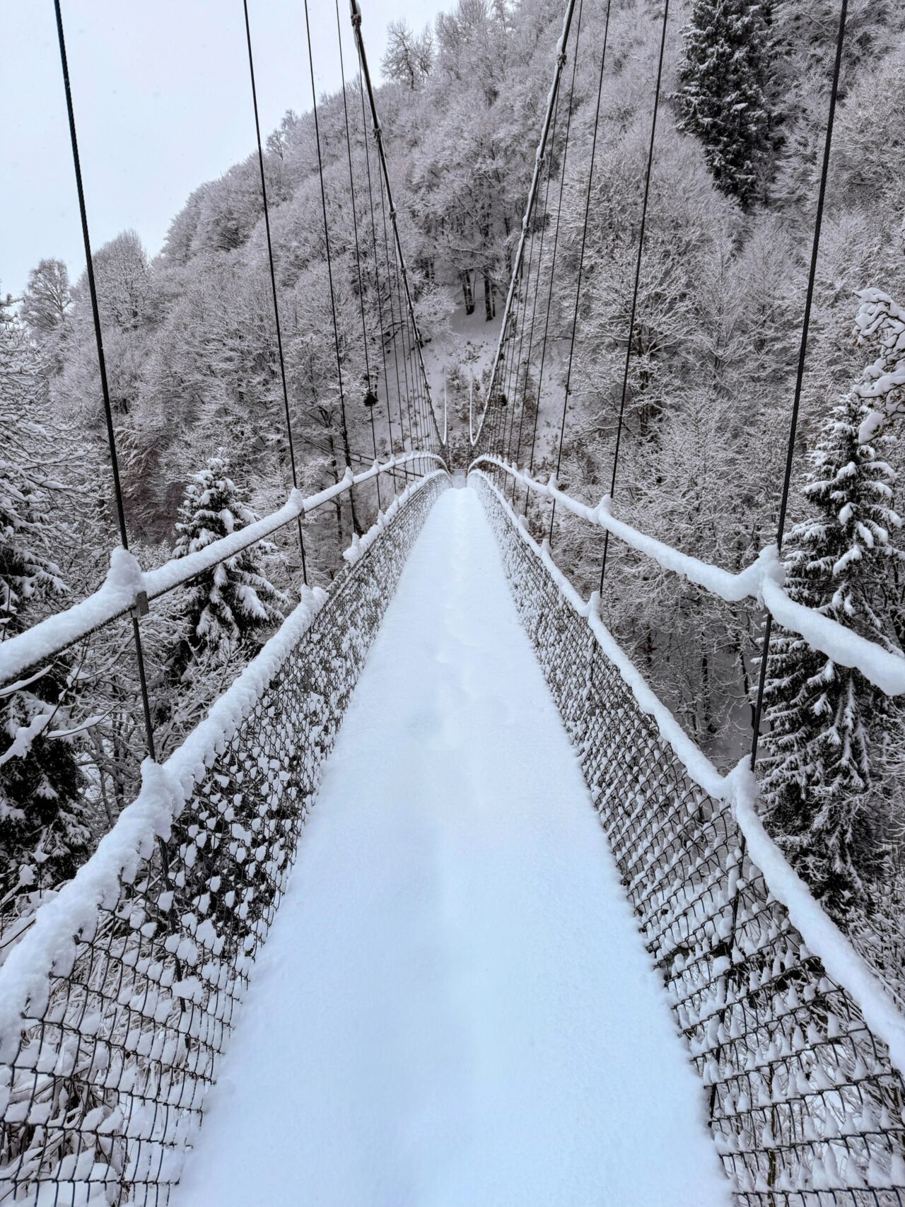 schneeschuhwanderung_klosters_schlappin_