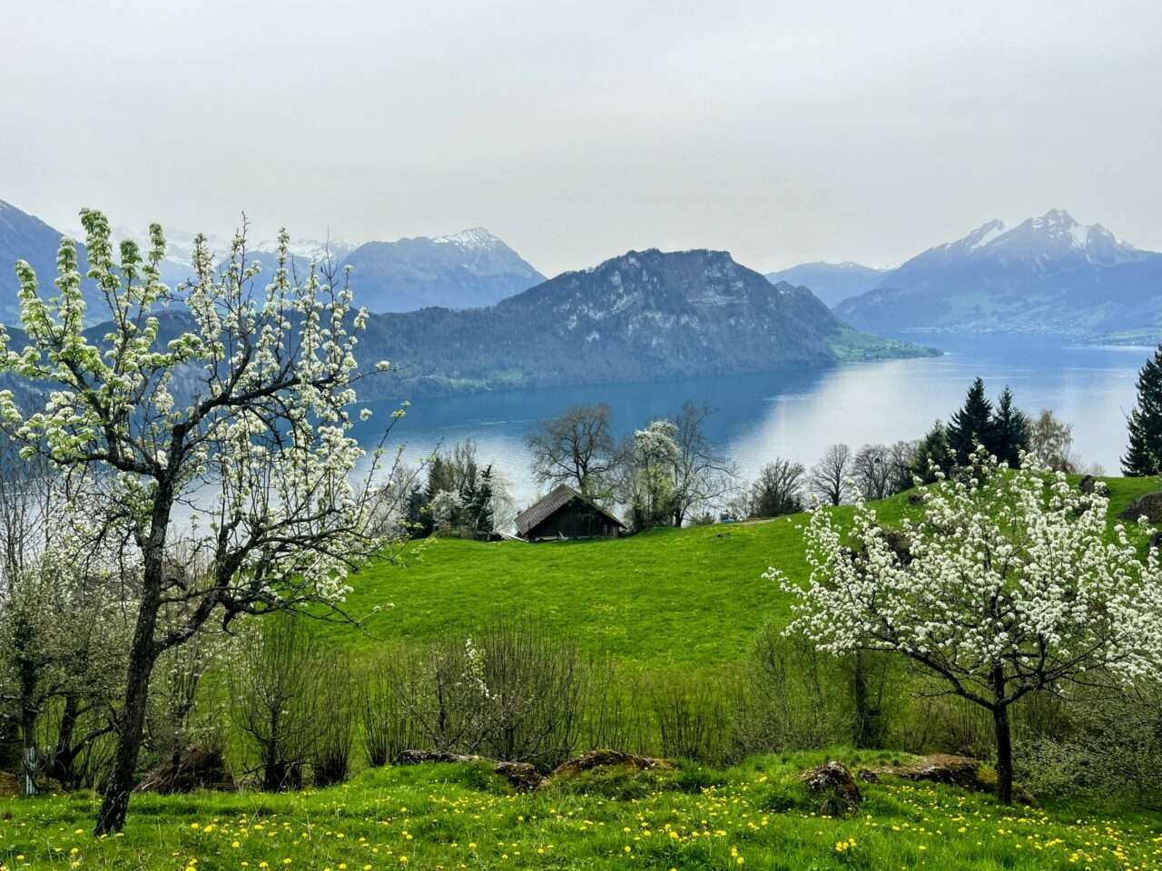 wanderung_weggis_rigi_