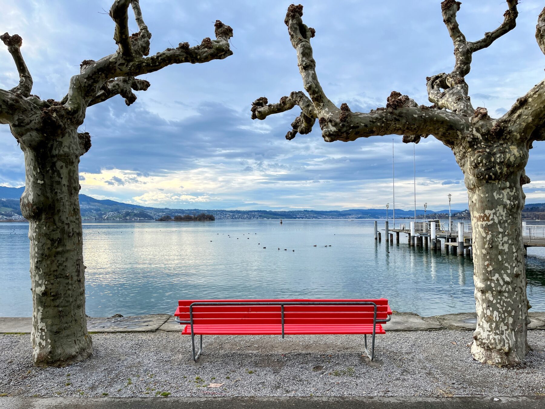 wanderung_pfaeffikon_rapperswil_