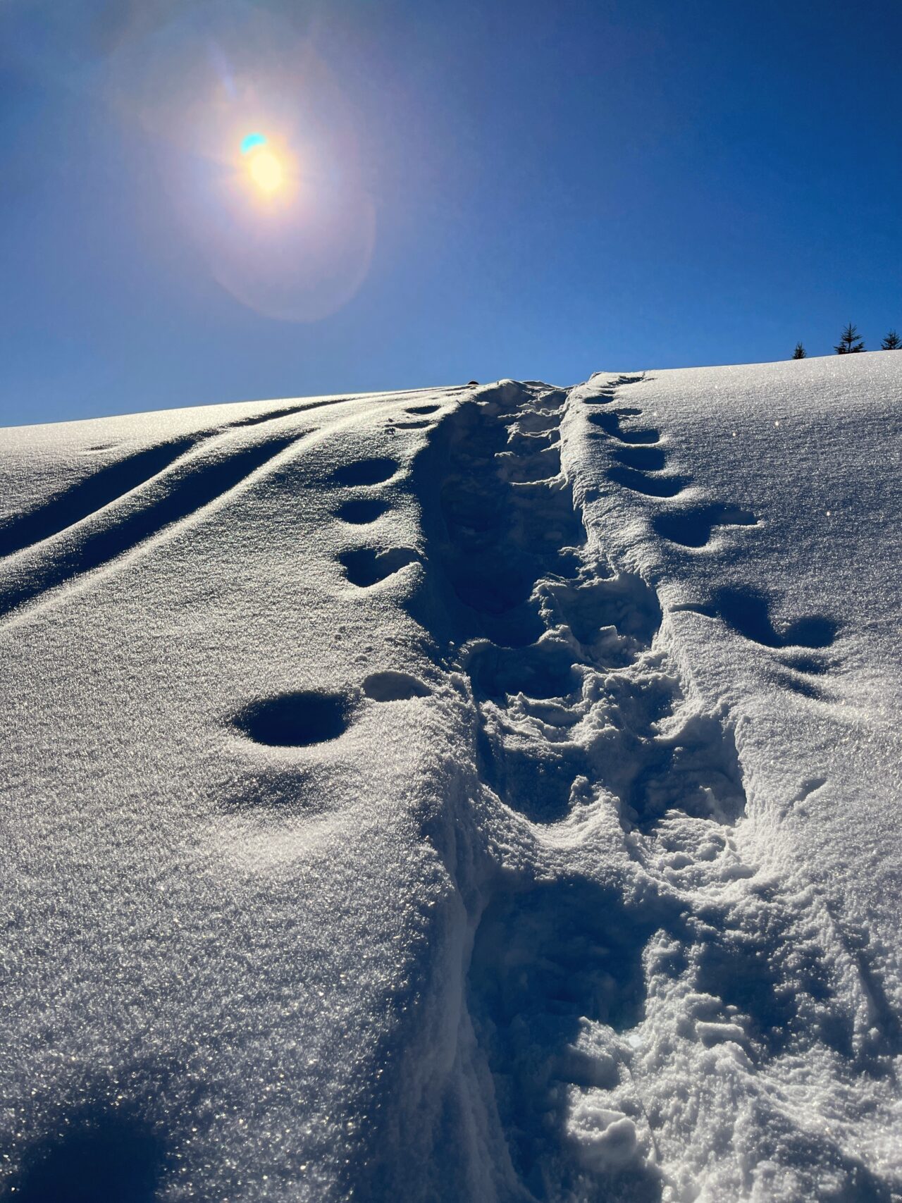 schneeschuhwanderung_rothenturm_ruchegg__IMG_0796 (Kopie)