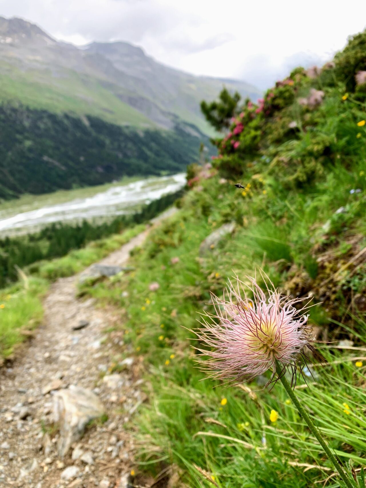 wanderung_tschiervahuette_