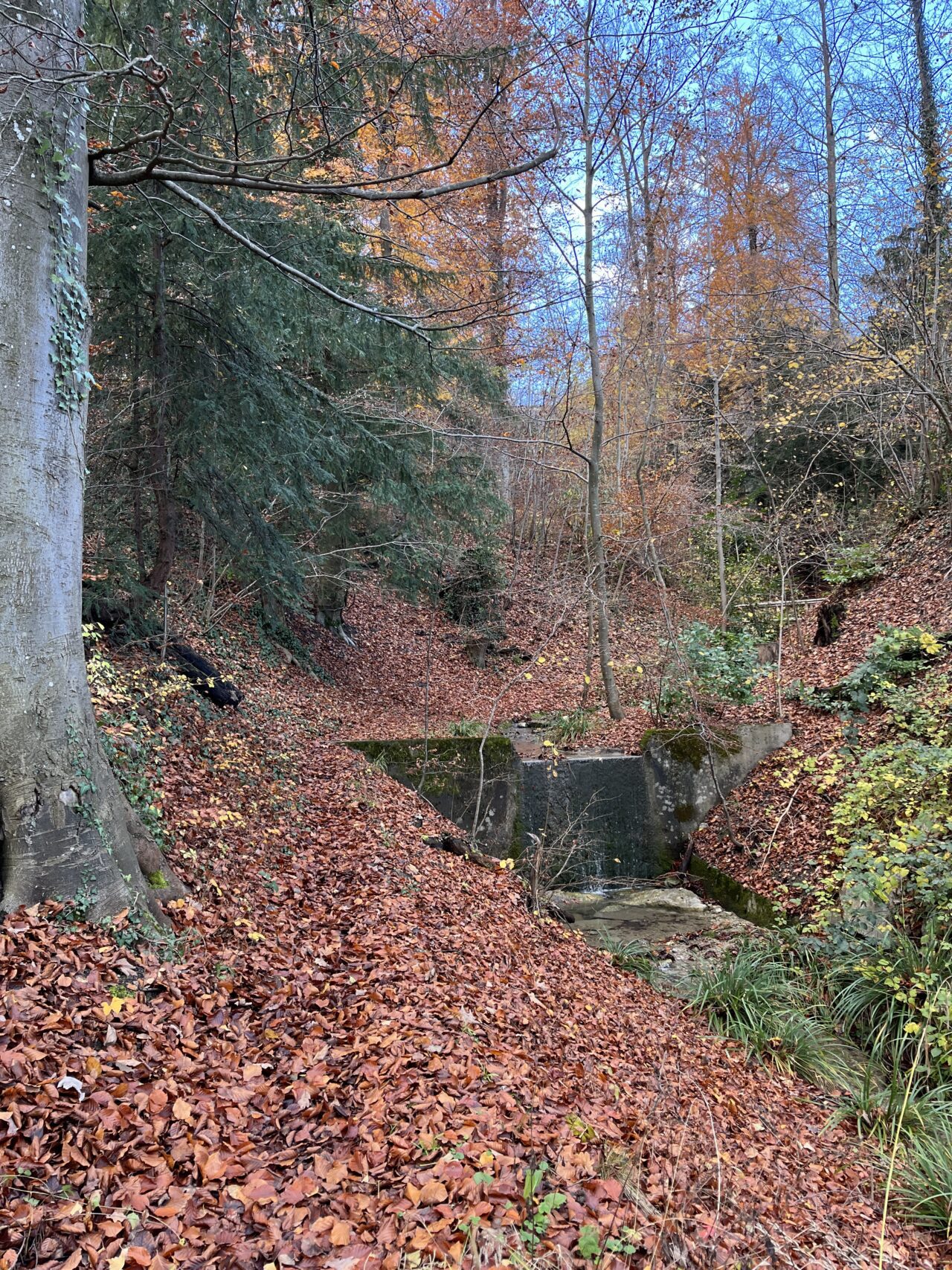 wanderung_teehuette_fallaetsche_