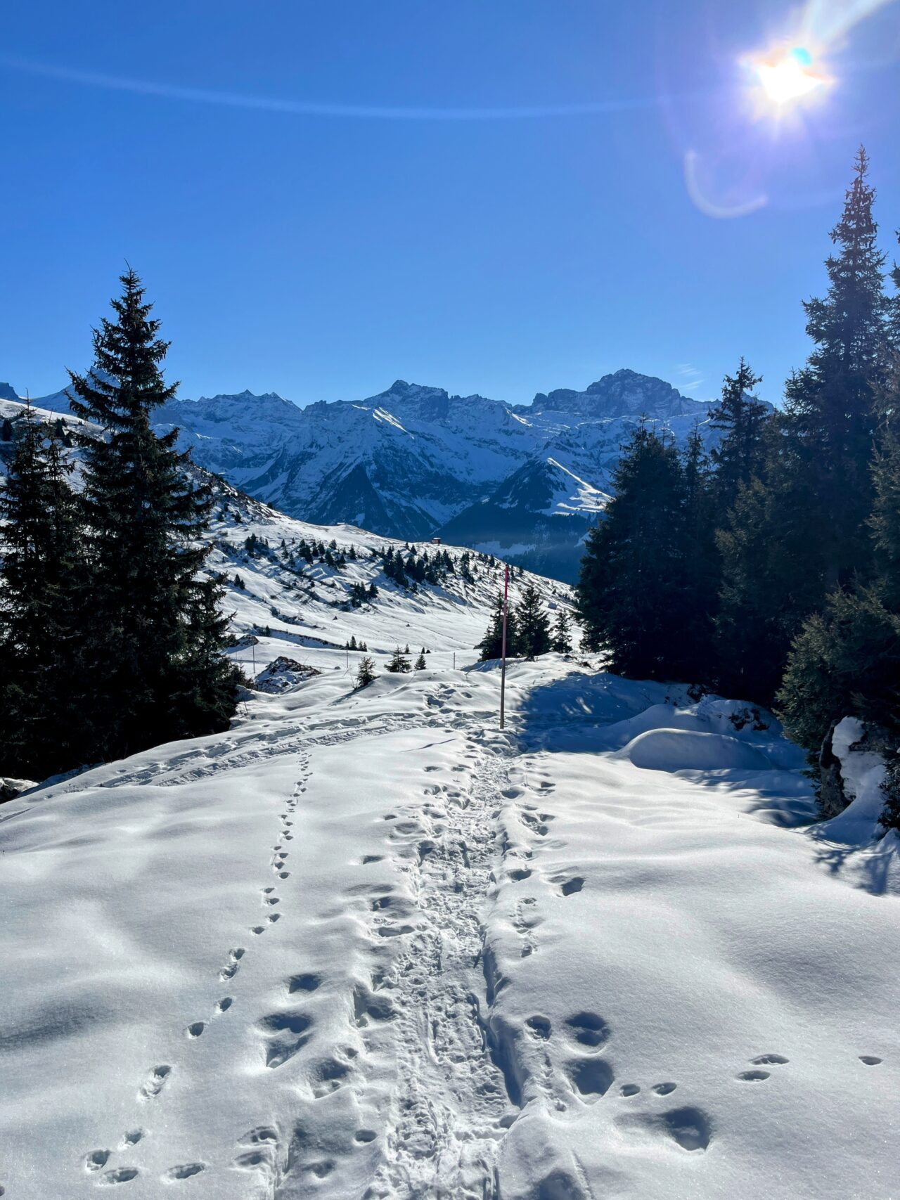 Schneeschuhe_winterwandern_eggberge_hueenderegg_ratzi__IMG_5669