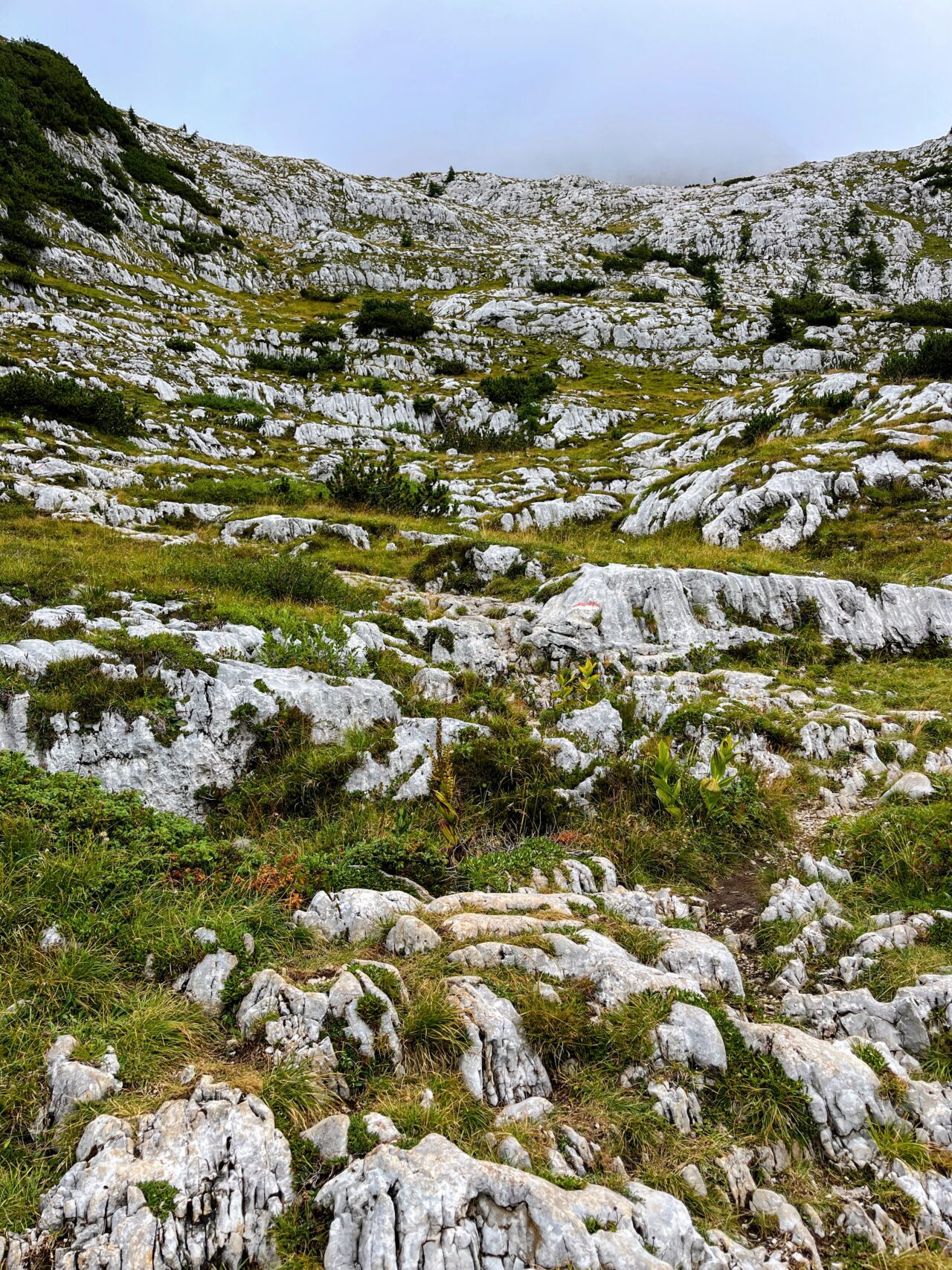 wanderung-croz-dell-altissimo-