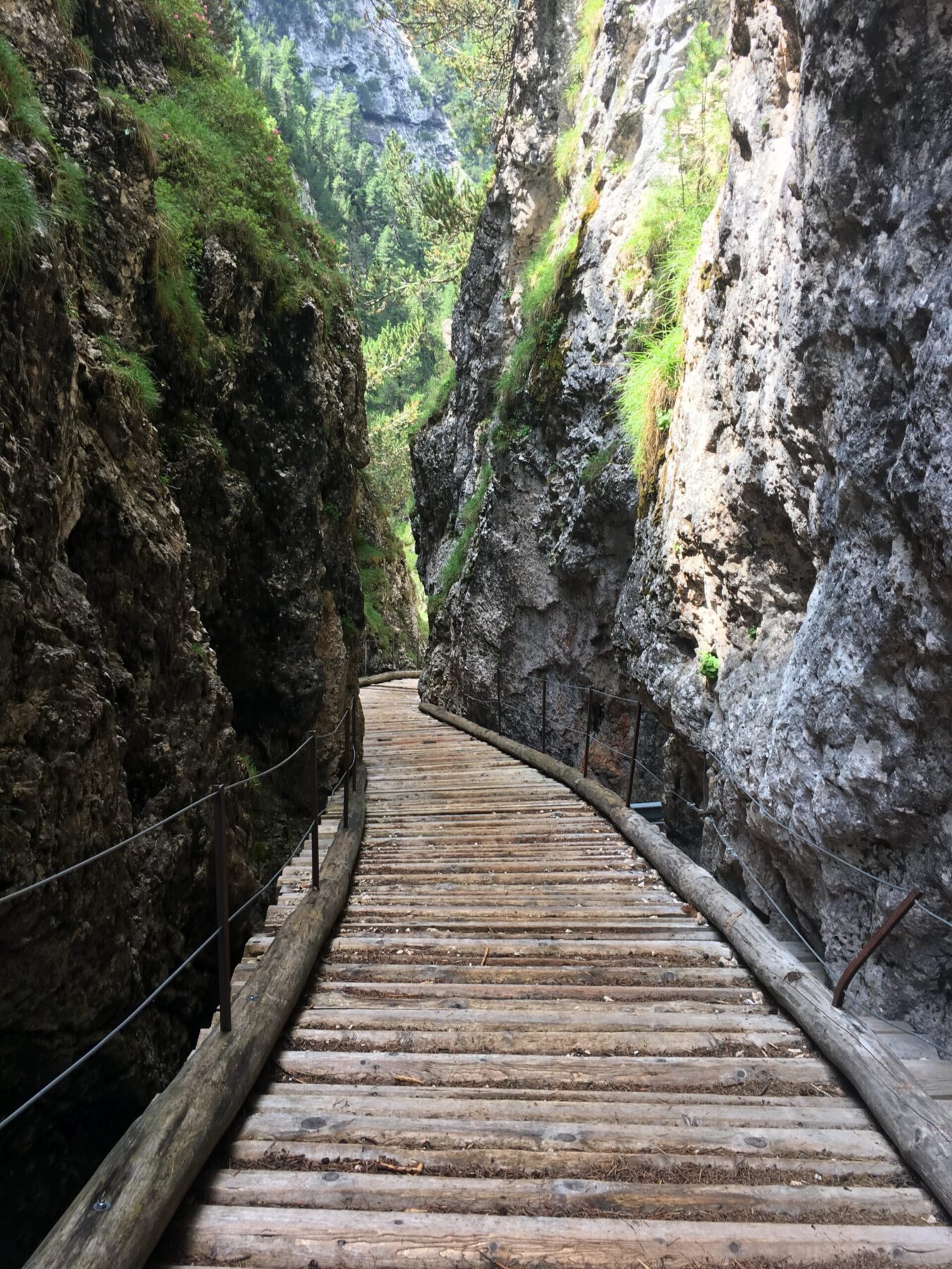 wanderung_rosengarten_mit_kindern_