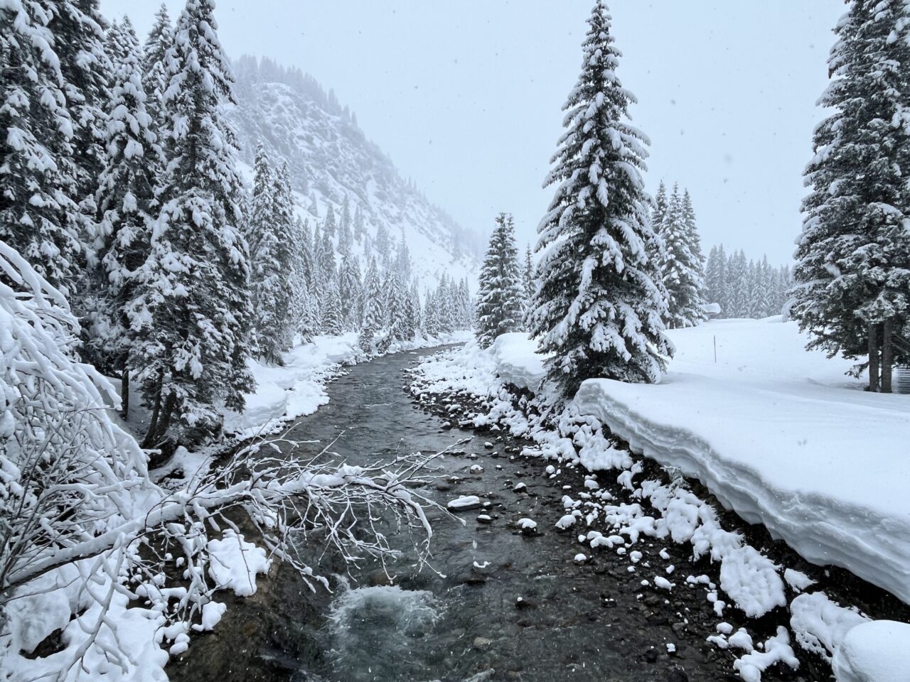 winterwanderung_lech_zug_vorderes_aelpele__IMG_4509