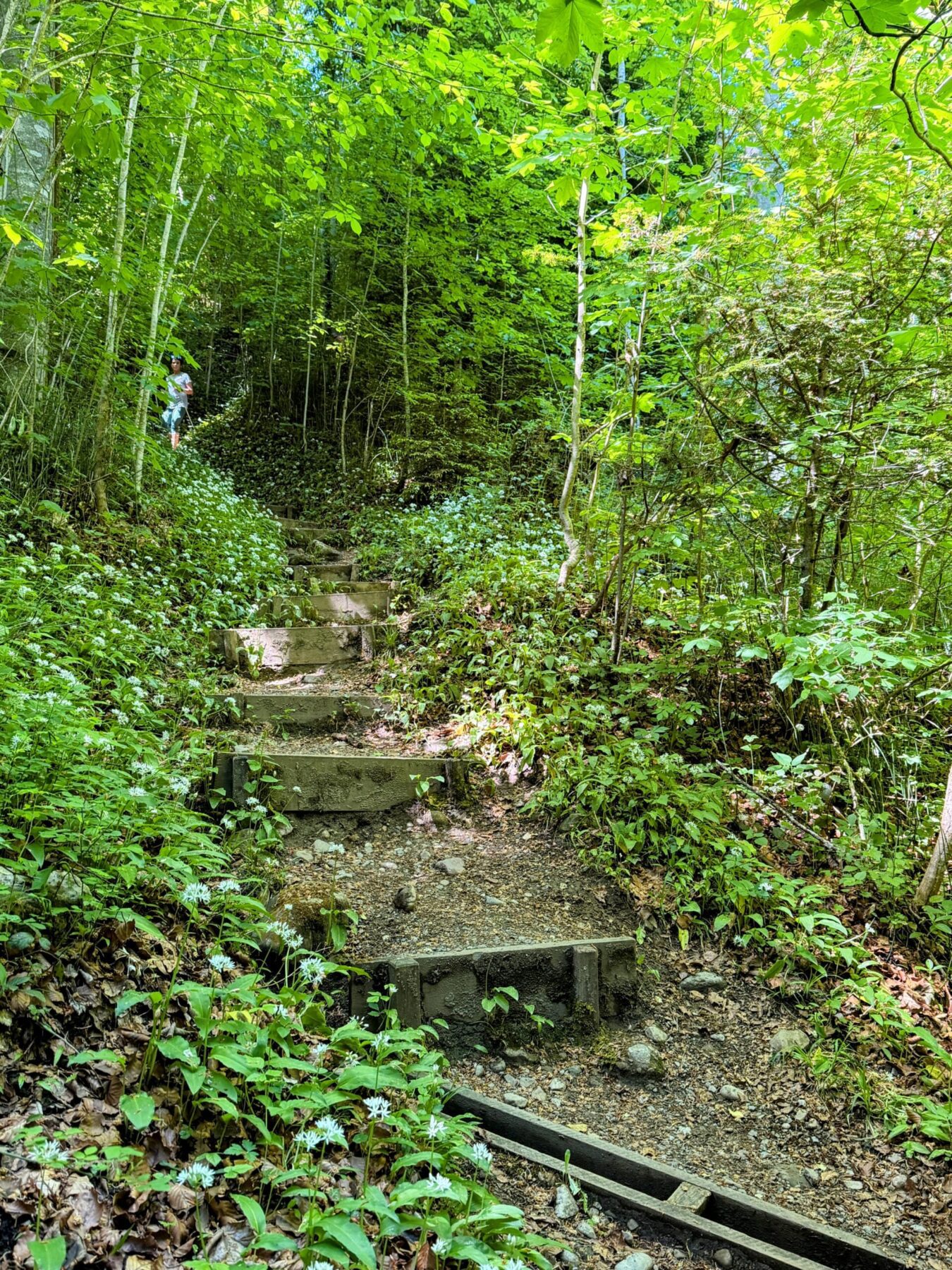 wanderung_lorzentobel_