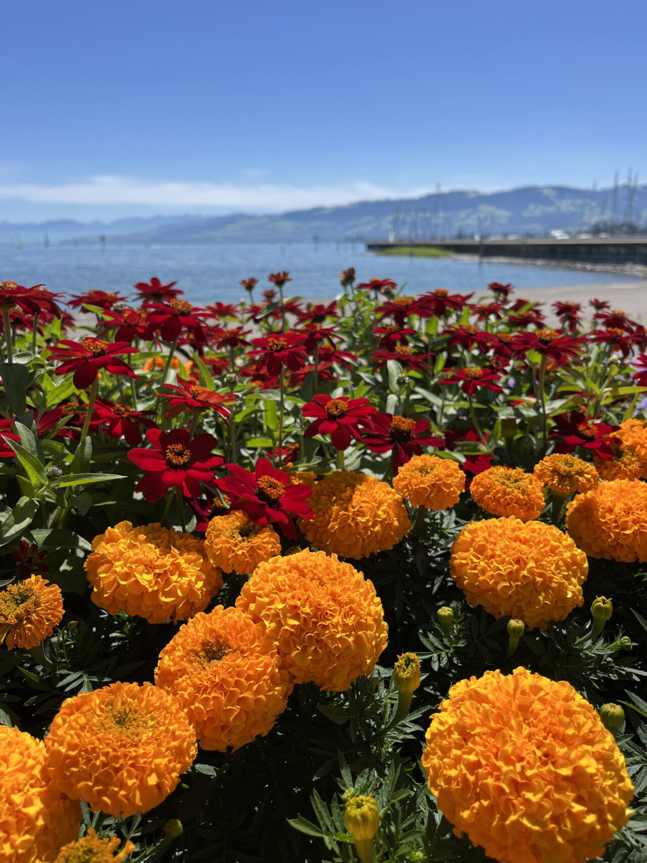 radtour_romanshorn_st_margathen__IMG_5308